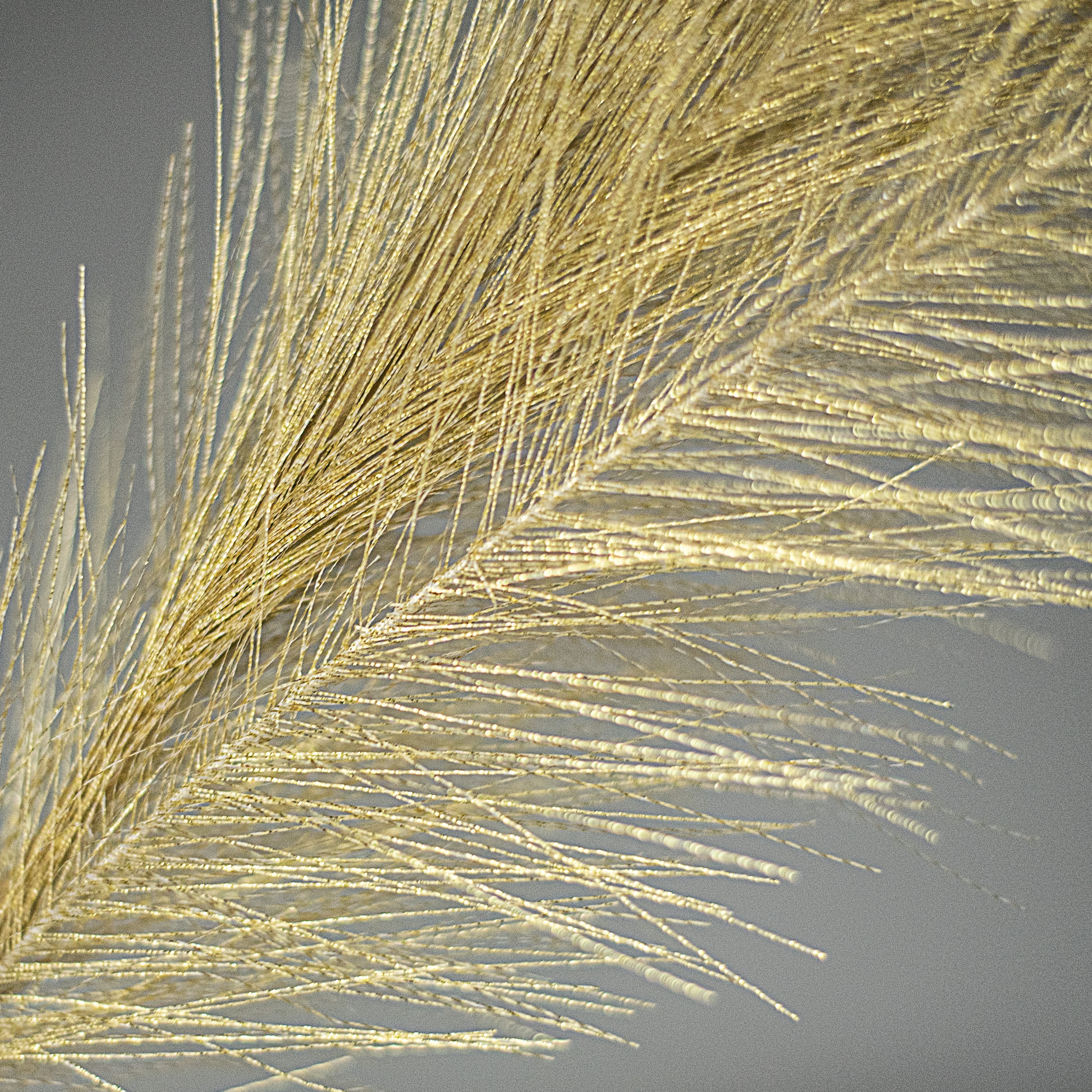 38" Metallic Pampas Grass Spray: Gold Lifestyle Photo