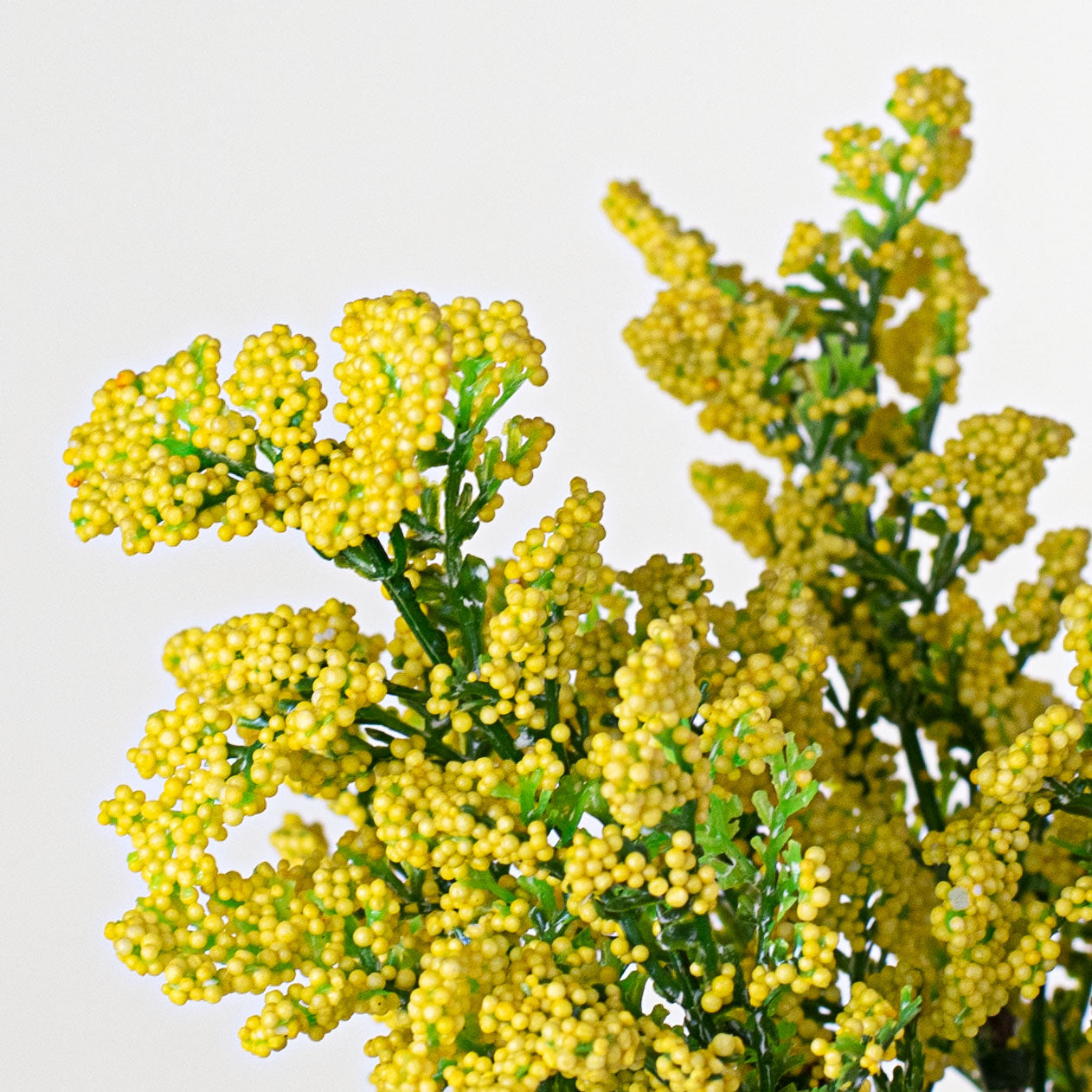 12" Mini Baby's Breath Pick: Yellow Lifestyle Photo