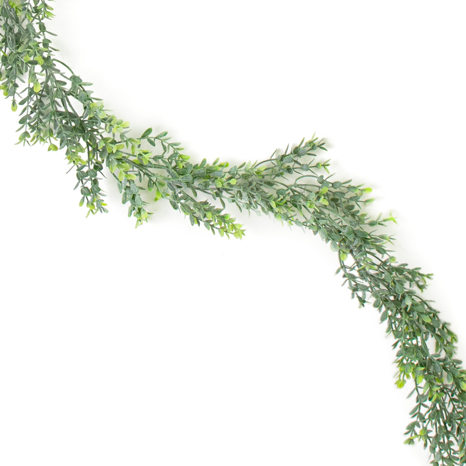 6' Mini Boxwood Garland Item Number: 82381