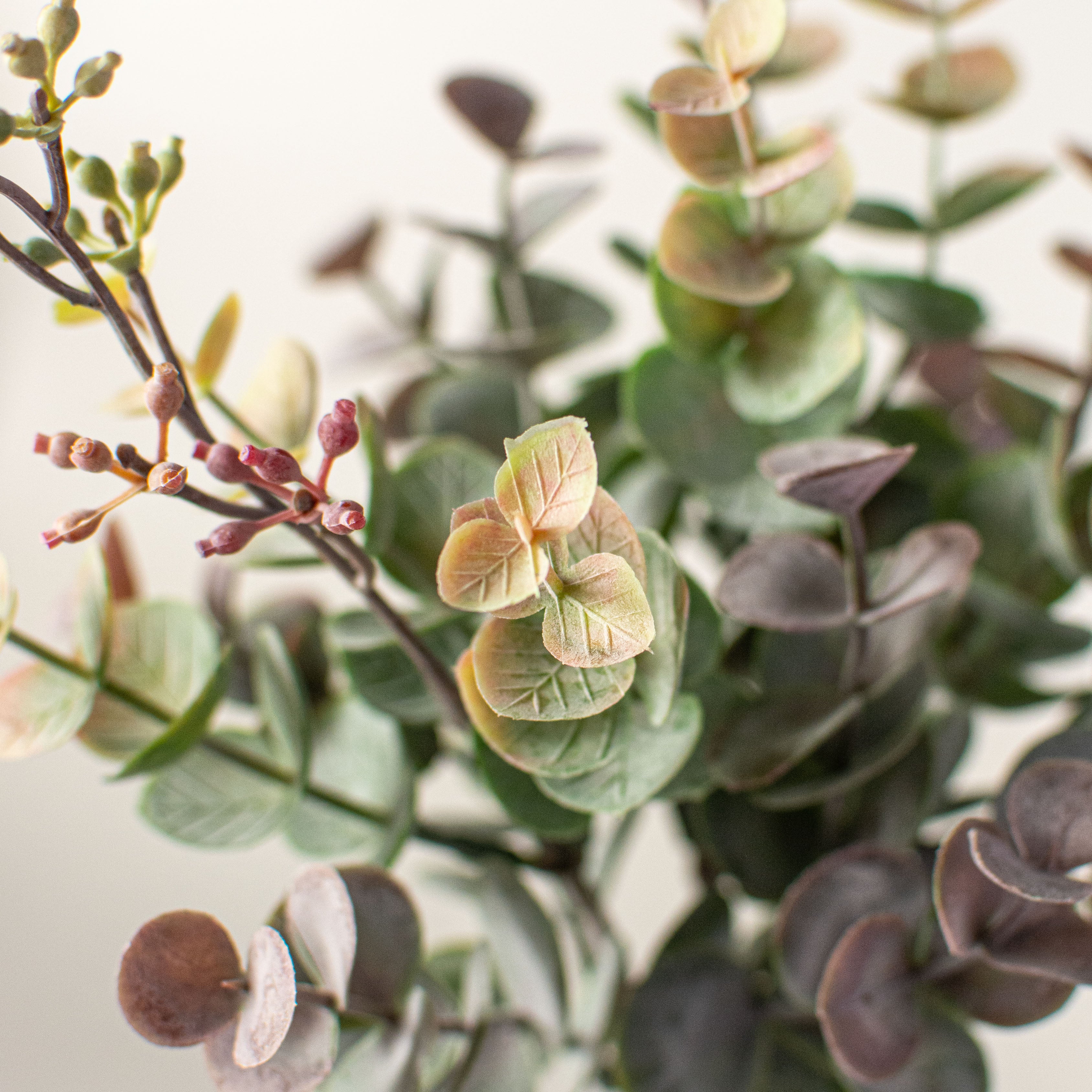 11" Mini Eucalyptus Bush: Olive Green & Burgundy Lifestyle Photo
