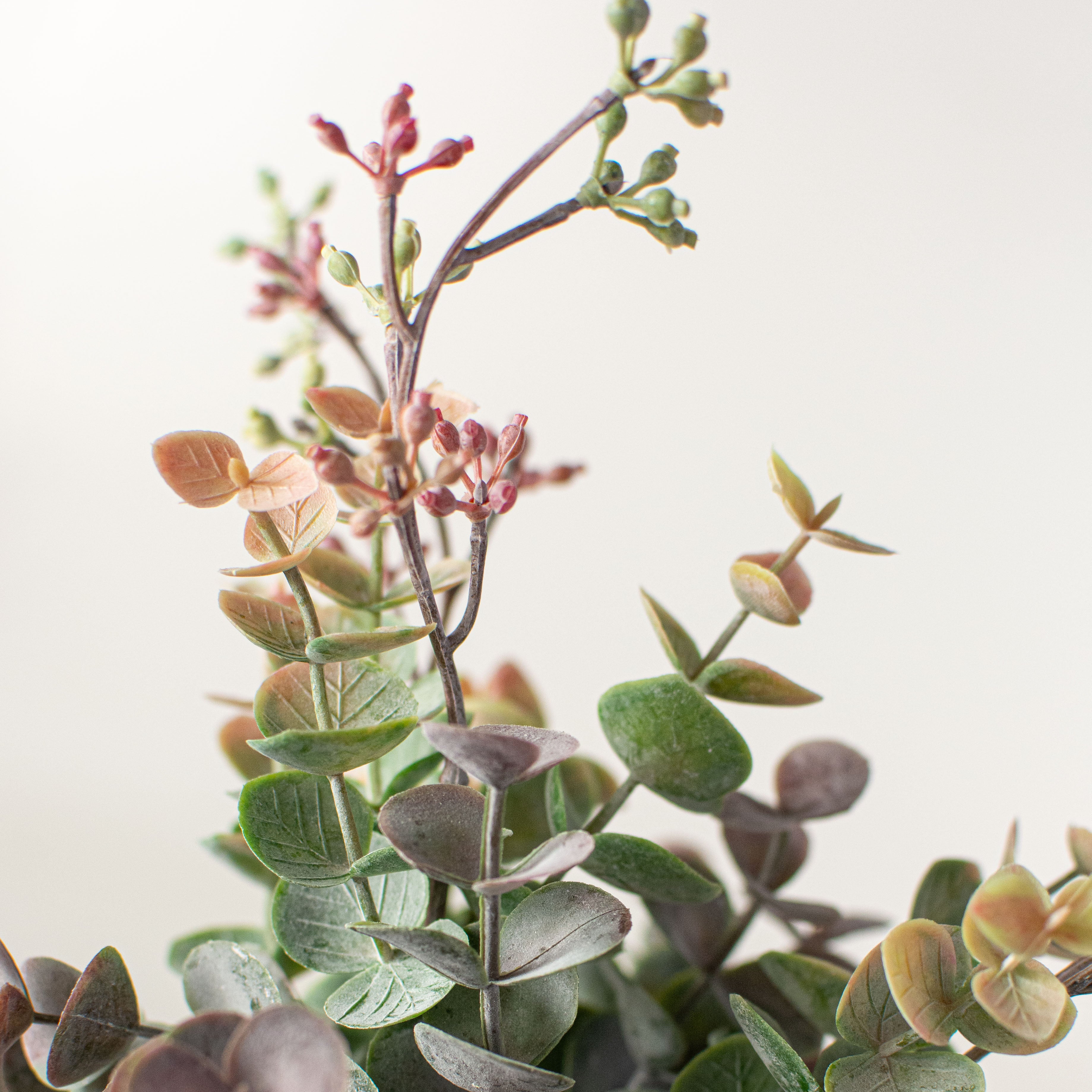 11" Mini Eucalyptus Bush: Olive Green & Burgundy detail photo 4