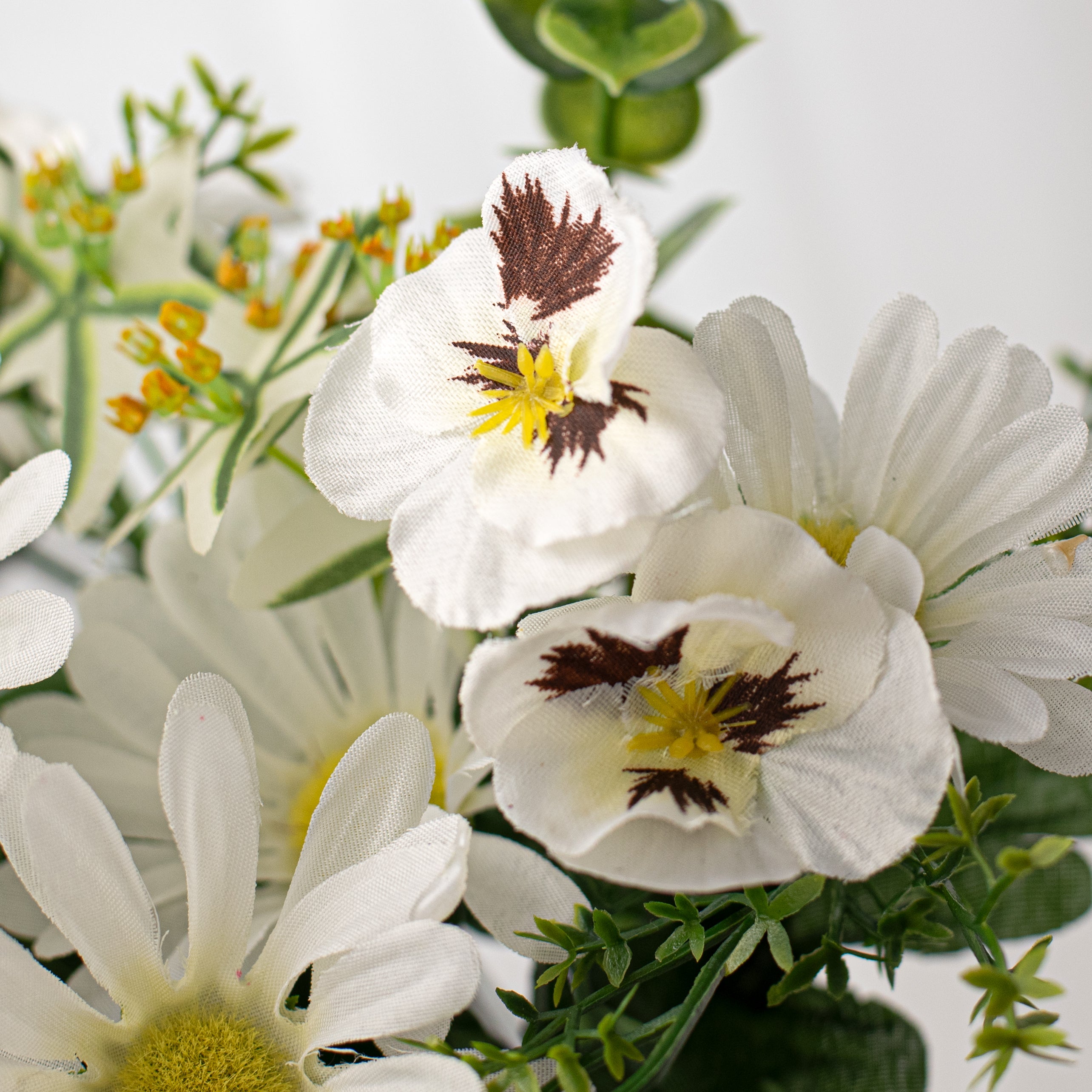 18" Mini Pansy Daisy Mix Bush: Cream (12) Lifestyle Photo