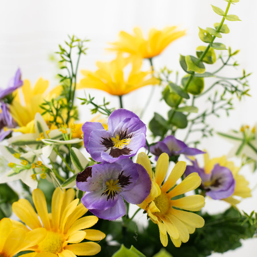 18" Mini Pansy Daisy Mix Bush: Purple & Yellow (12) Lifestyle Photo