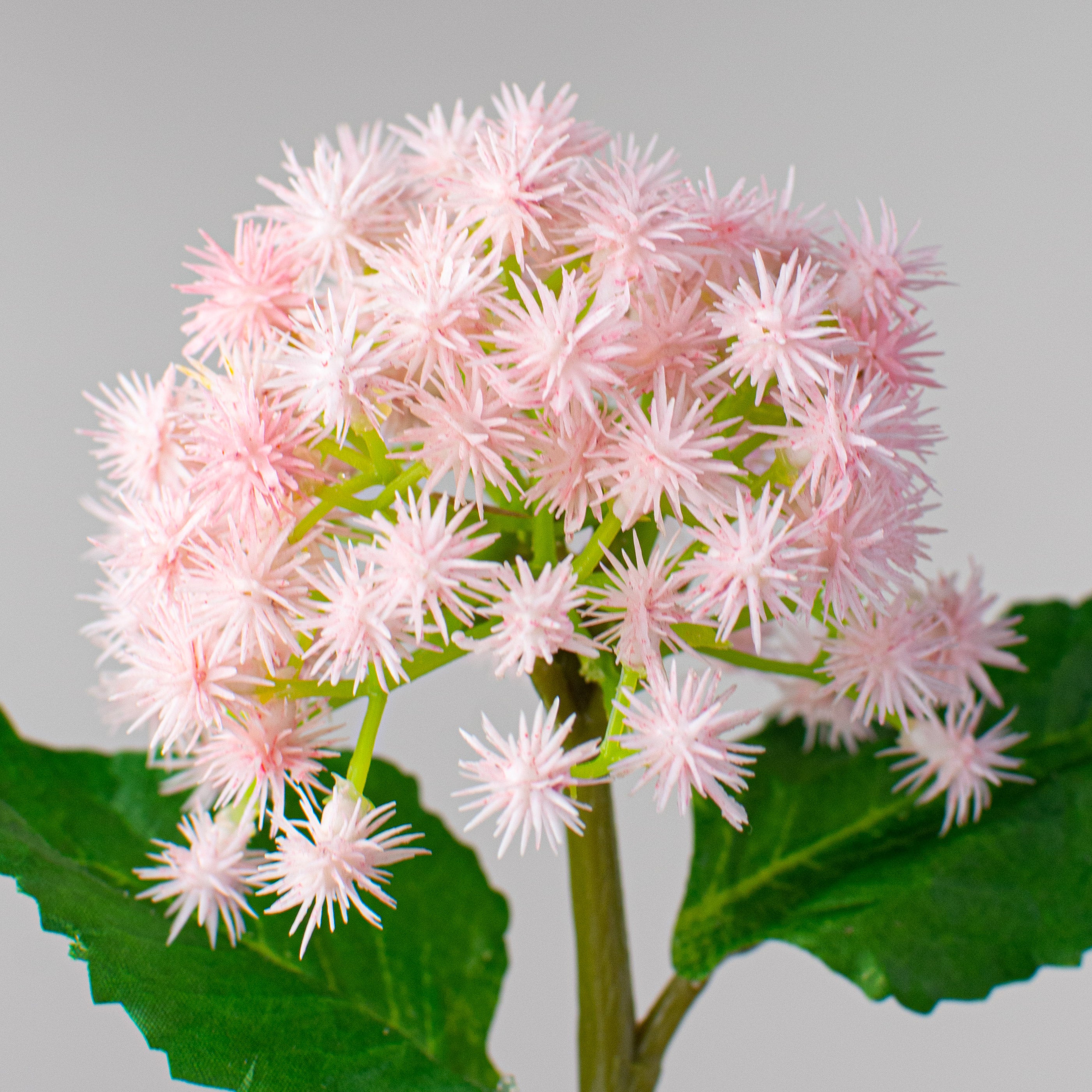 11" Mini Rambutan Pick: Pink Lifestyle Photo