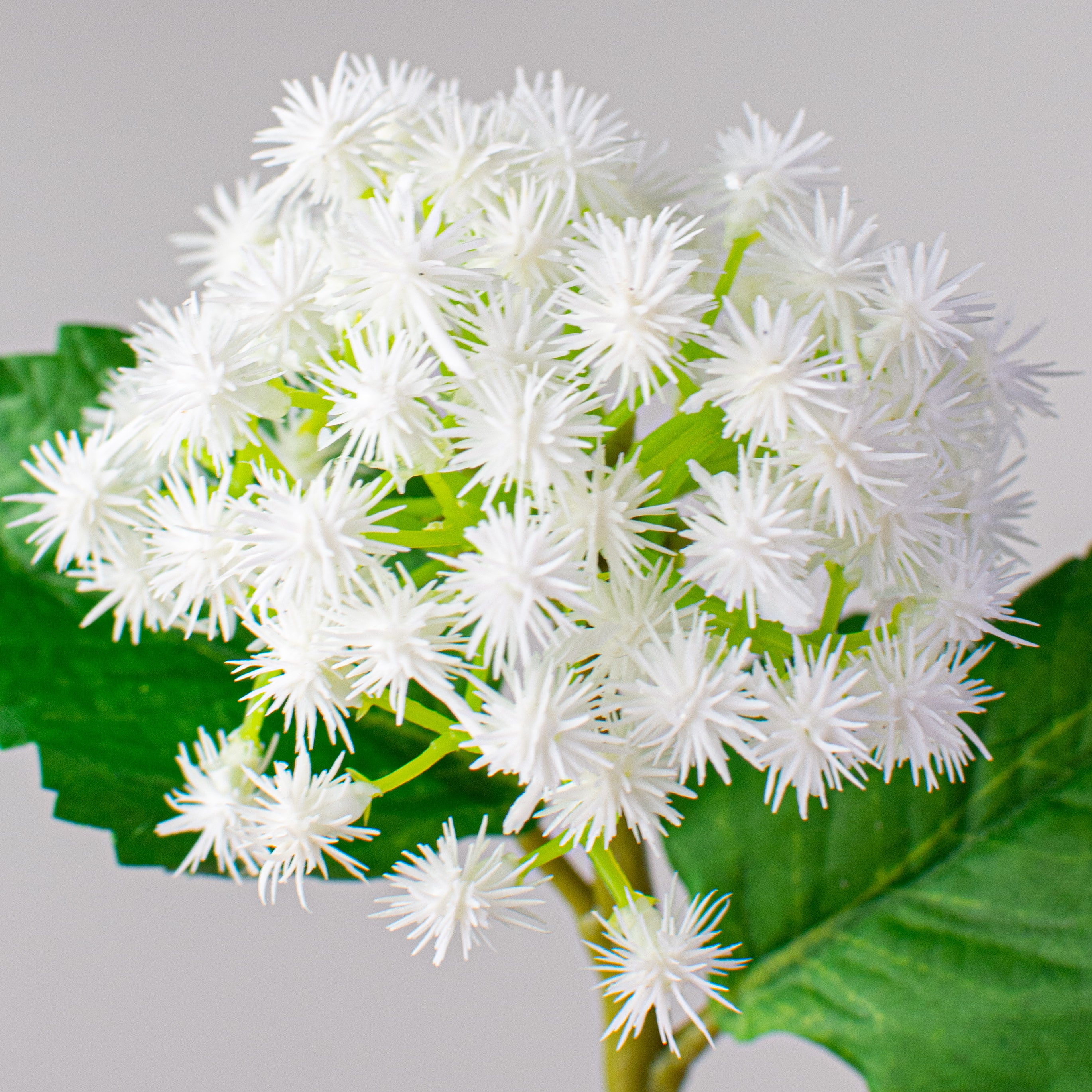 11" Mini Rambutan Pick: White Lifestyle Photo