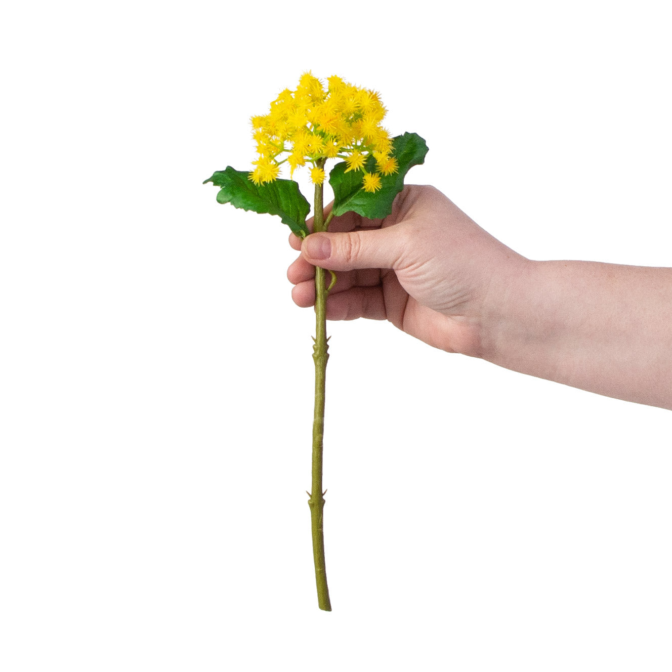 11" Mini Rambutan Pick: Yellow detail photo 3