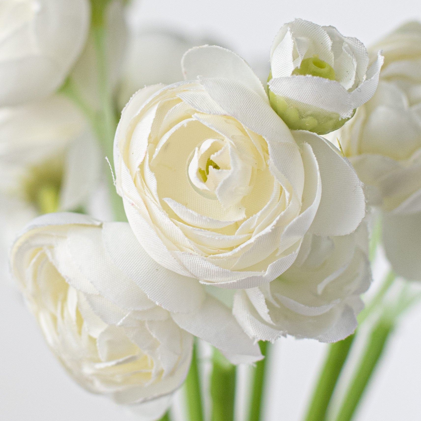 11" Mini Ranunculus Bundle: White Lifestyle Photo
