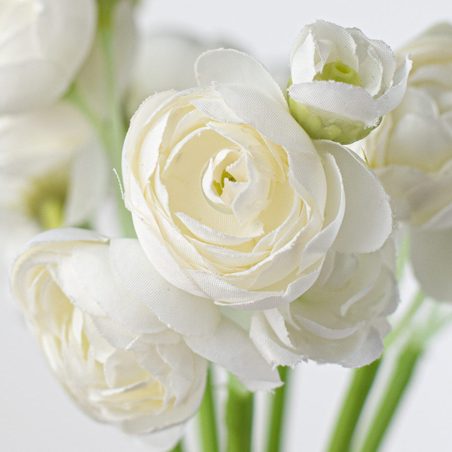 11" Mini Ranunculus Bundle: White Lifestyle Photo