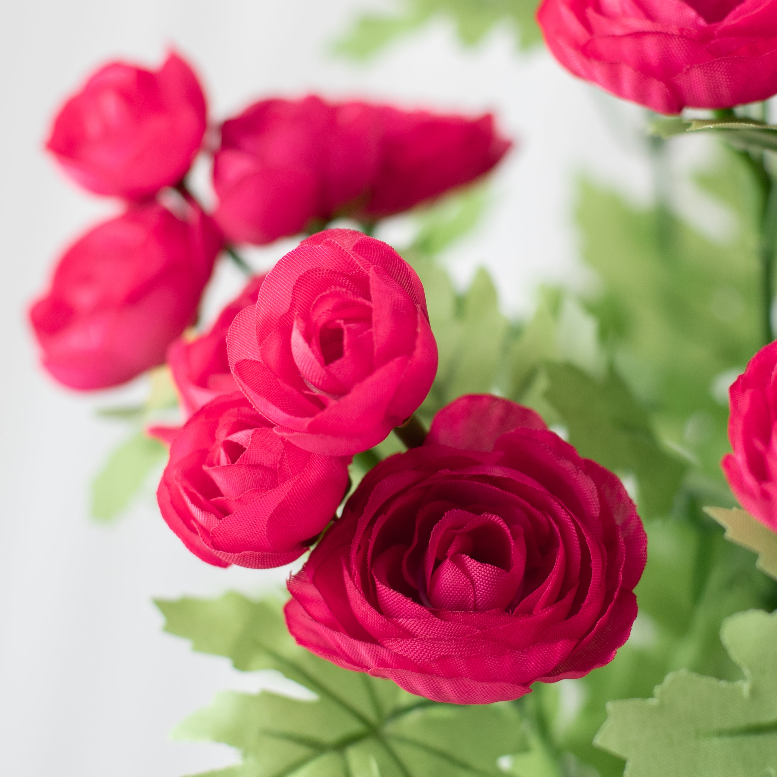 17" Mini Ranunculus Bush: Fuchsia Pink Lifestyle Photo