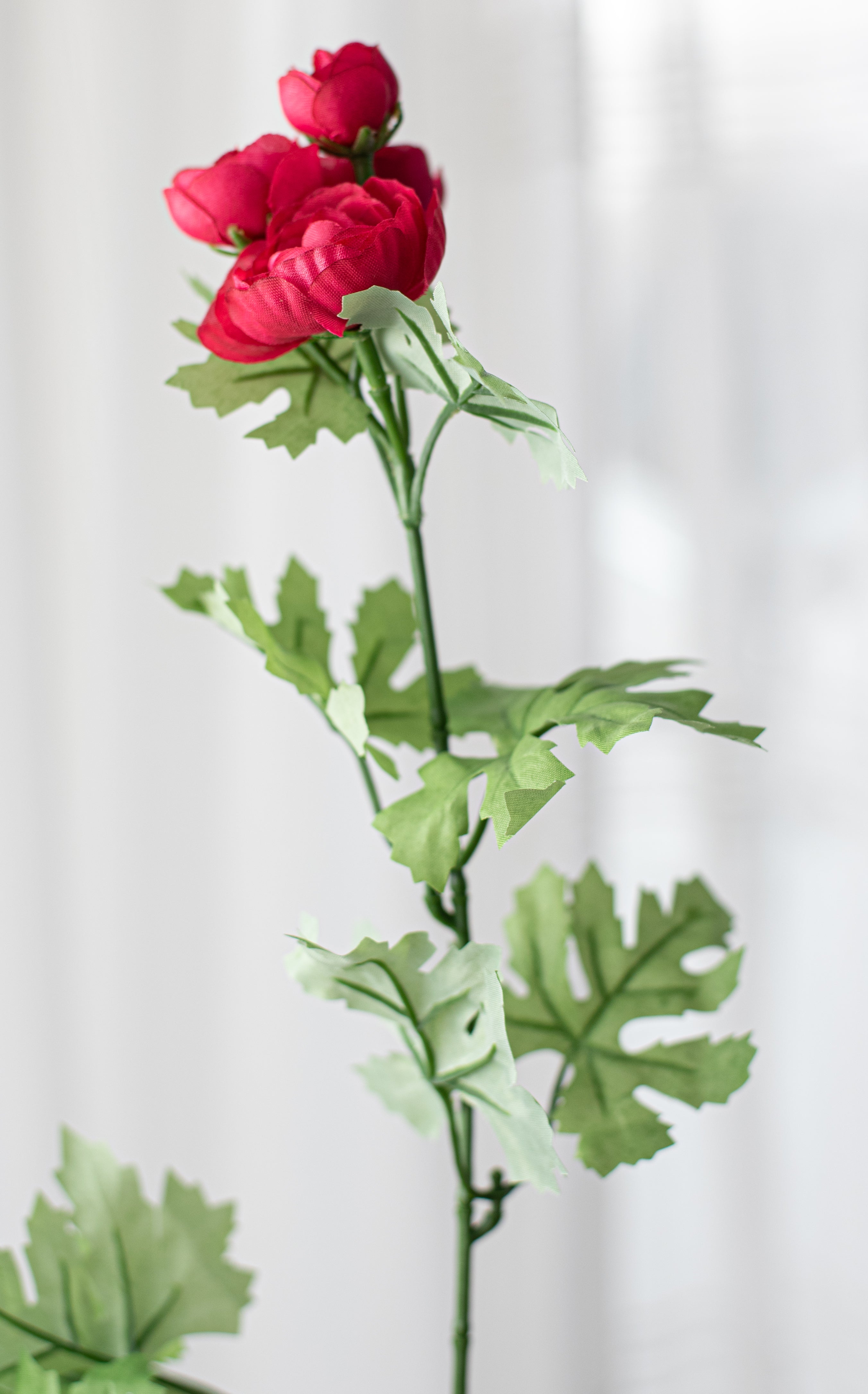17" Mini Ranunculus Bush: Fuchsia Pink detail photo 4