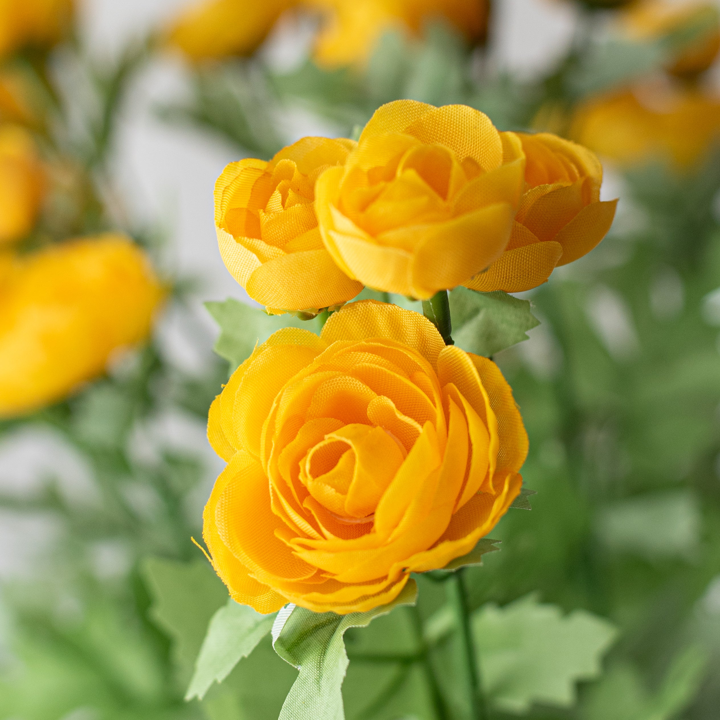 17" Mini Ranunculus Bush: Yellow Lifestyle Photo