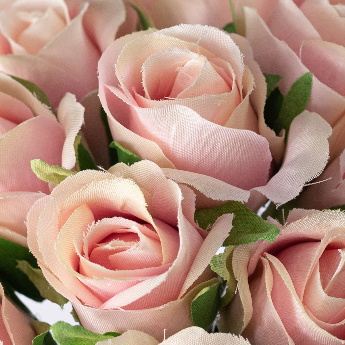9" Mini Rose Bundle: Blush Pink Lifestyle Photo