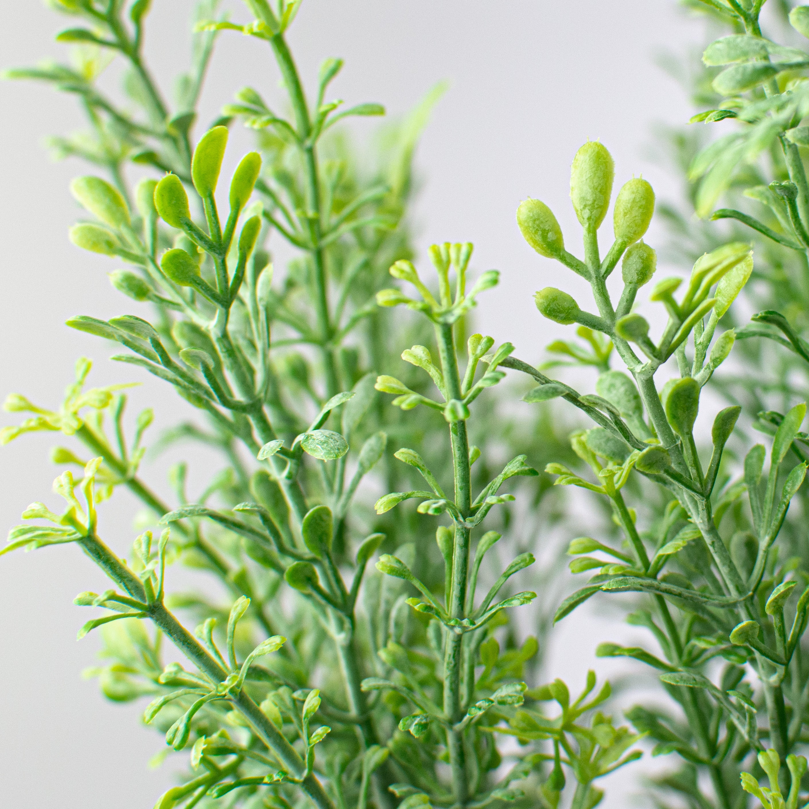 12" Mini Tea Leaf Bush detail photo 4