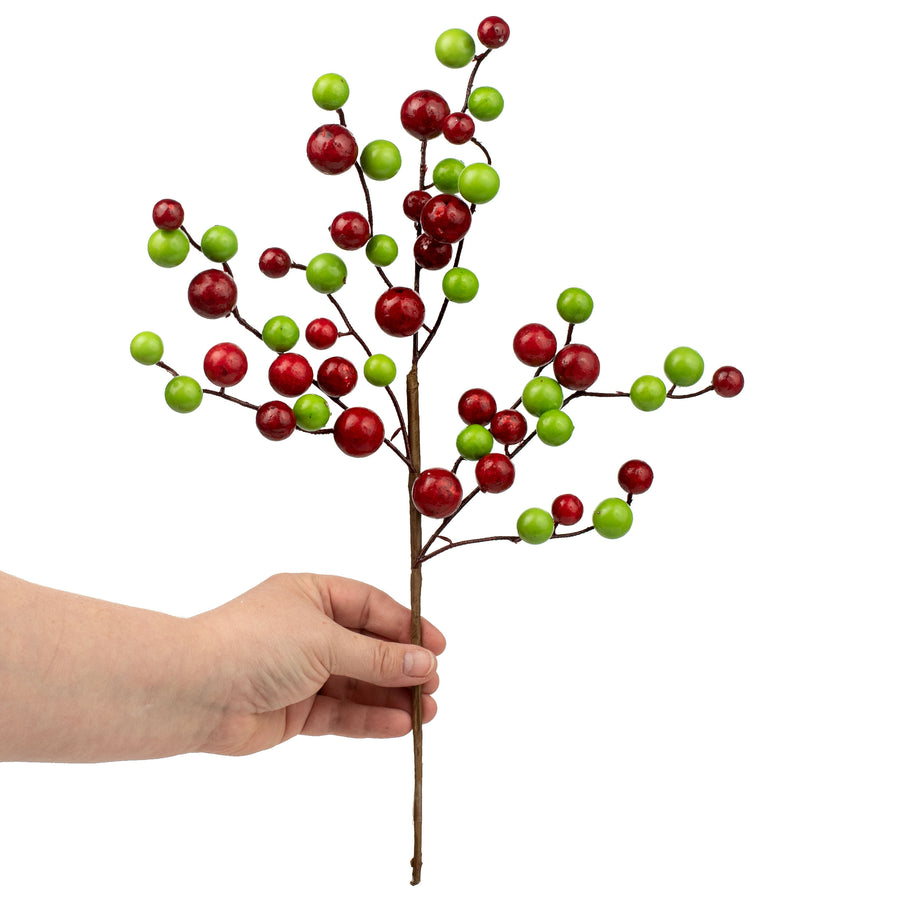 17" Mixed Berry Pick: Red & Lime Green Lifestyle Photo