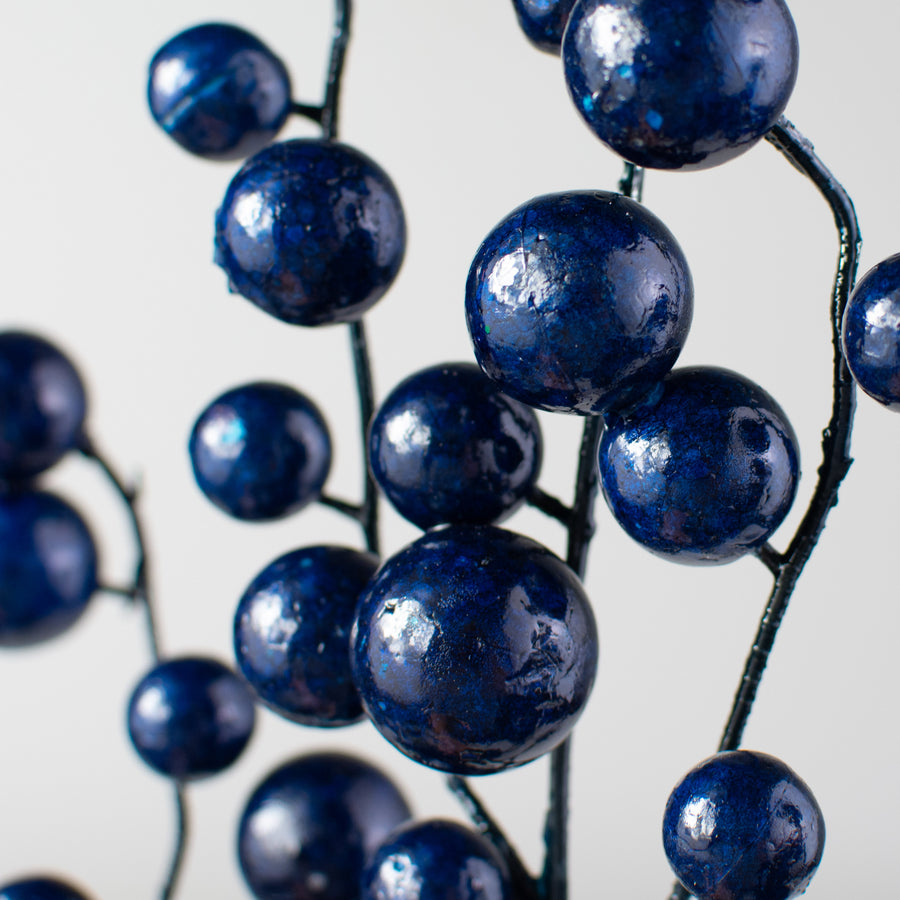 17" Mixed Berry Pick: Shiny Navy Blue Lifestyle Photo