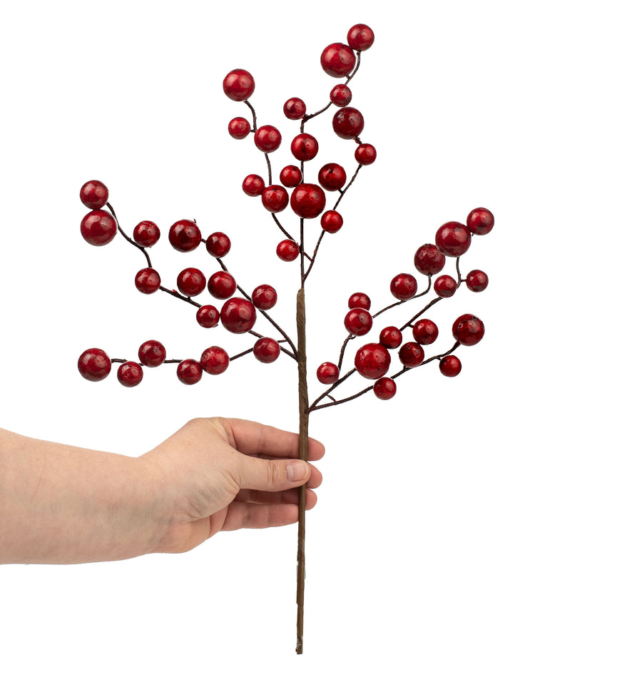 17" Mixed Berry Pick: Shiny Red Lifestyle Photo