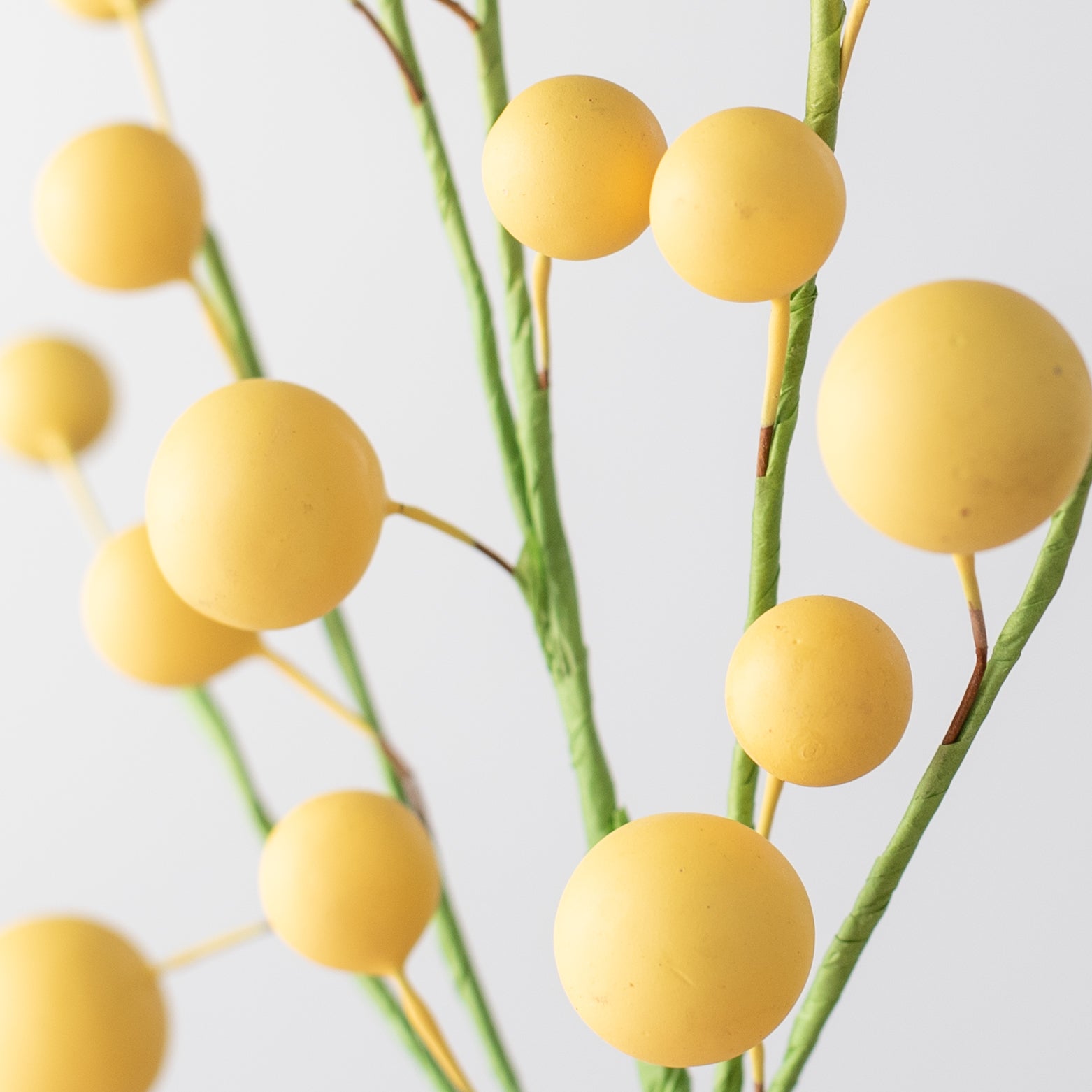10" Mixed Berry Pick: Yellow Lifestyle Photo