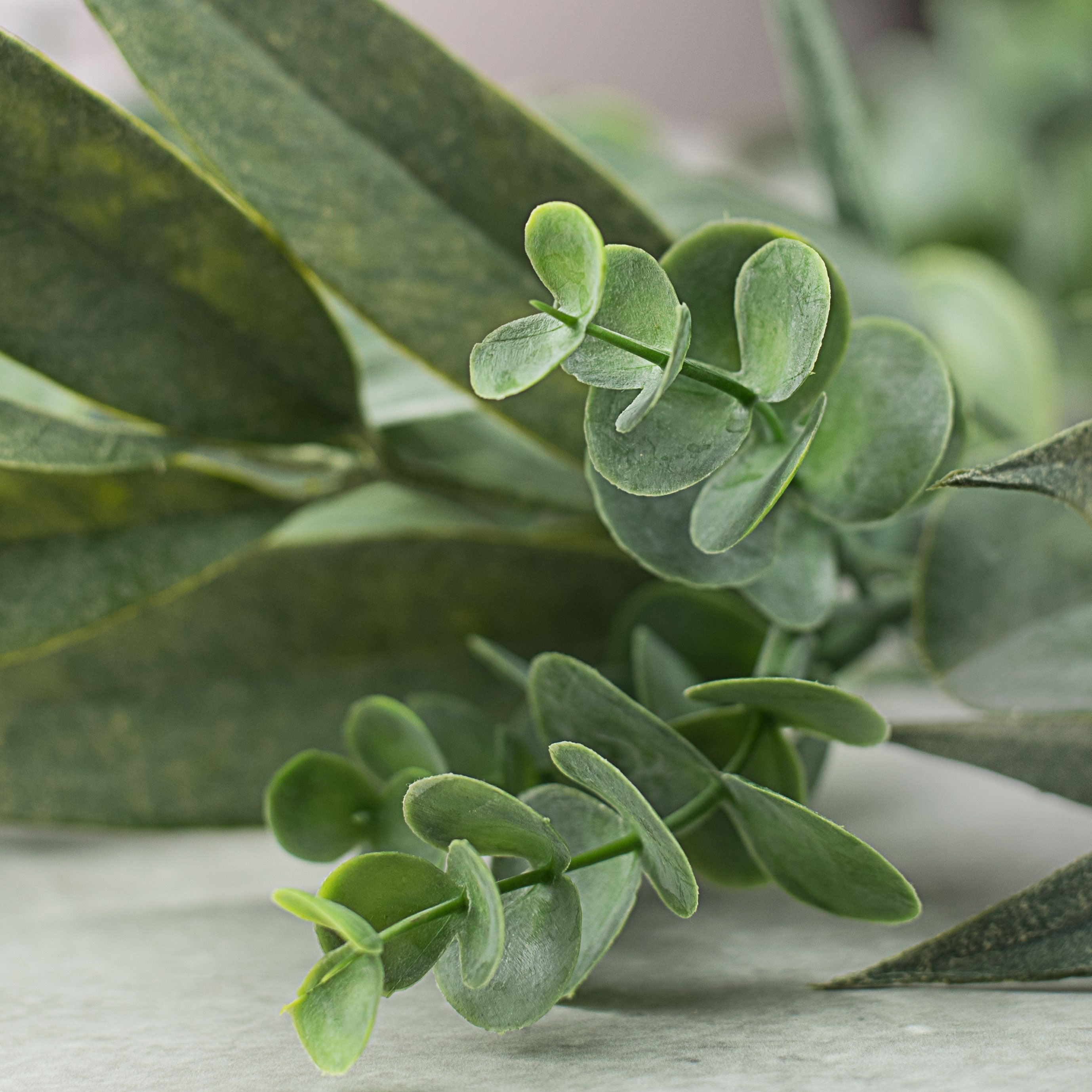 6' Mixed Eucalyptus Garland Lifestyle Photo