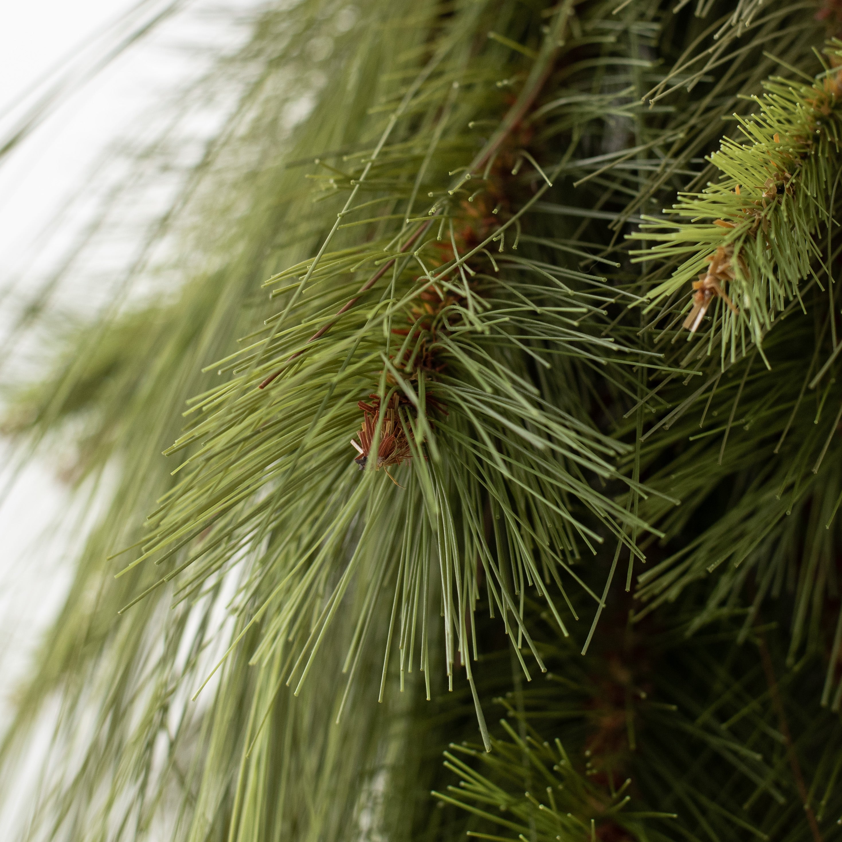 32" Mixed King Pine Teardrop detail photo 4