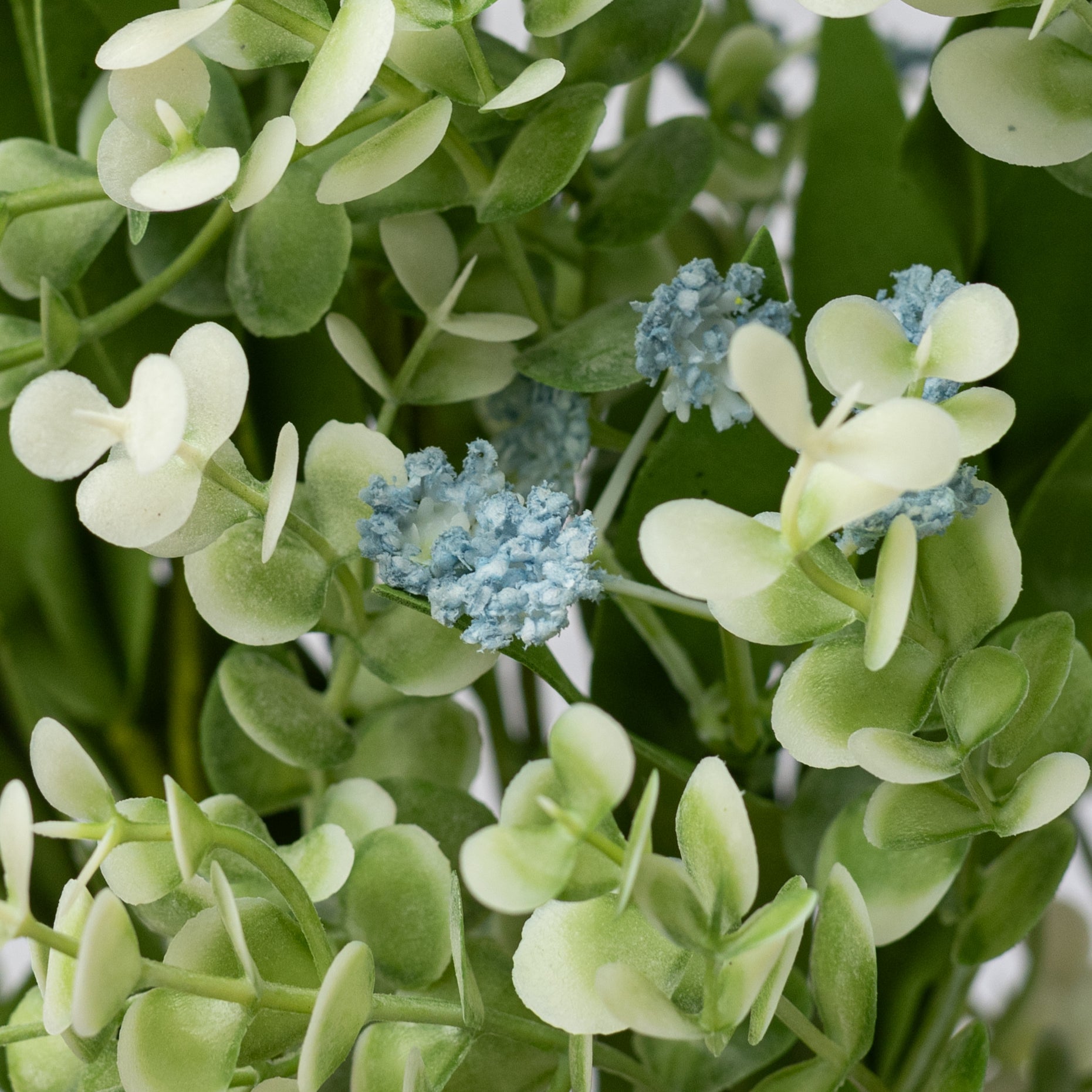 17" Mixed Wild Boxwood Pick: Blue detail photo 4
