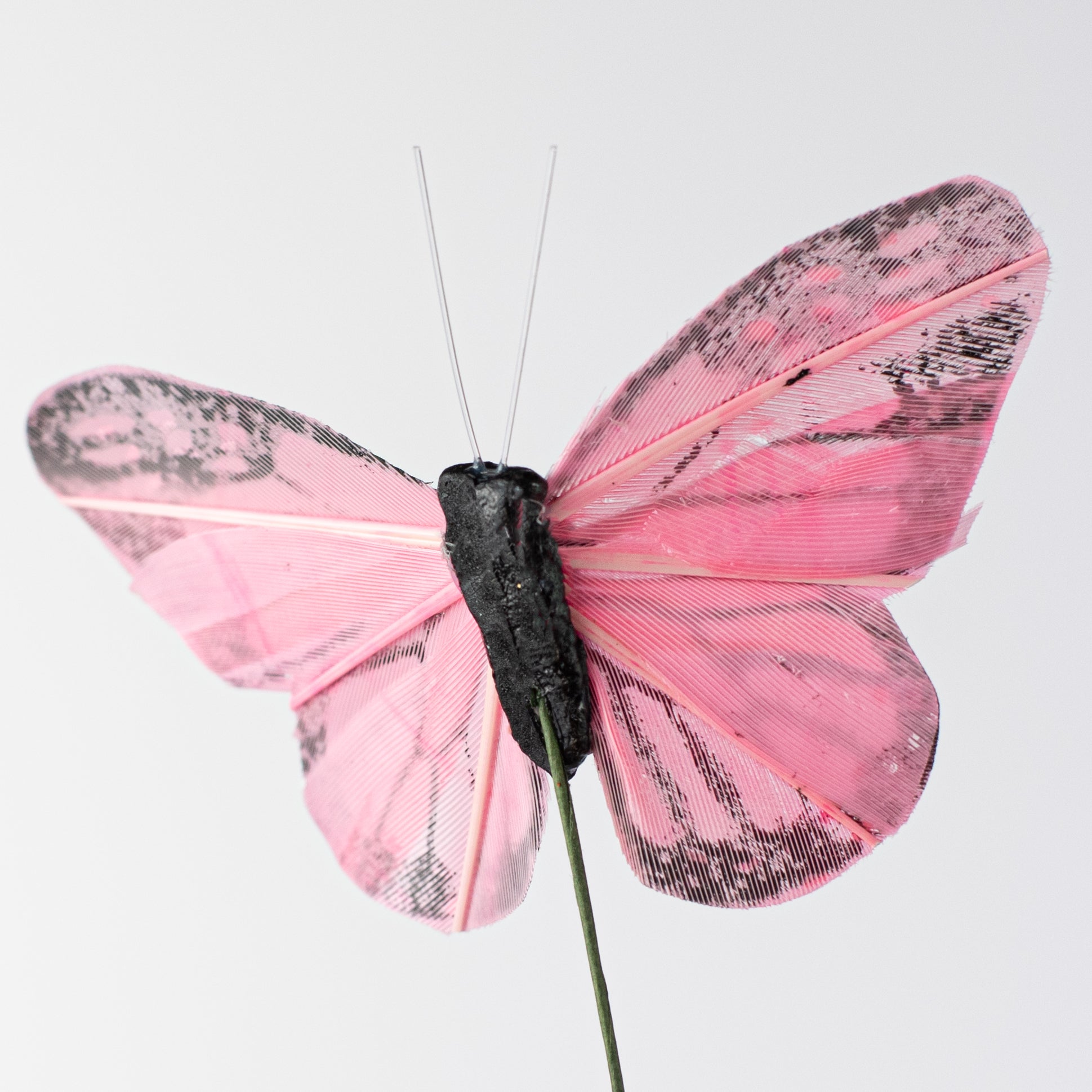 24" Monarch Butterfly Spray: Pink detail photo 4