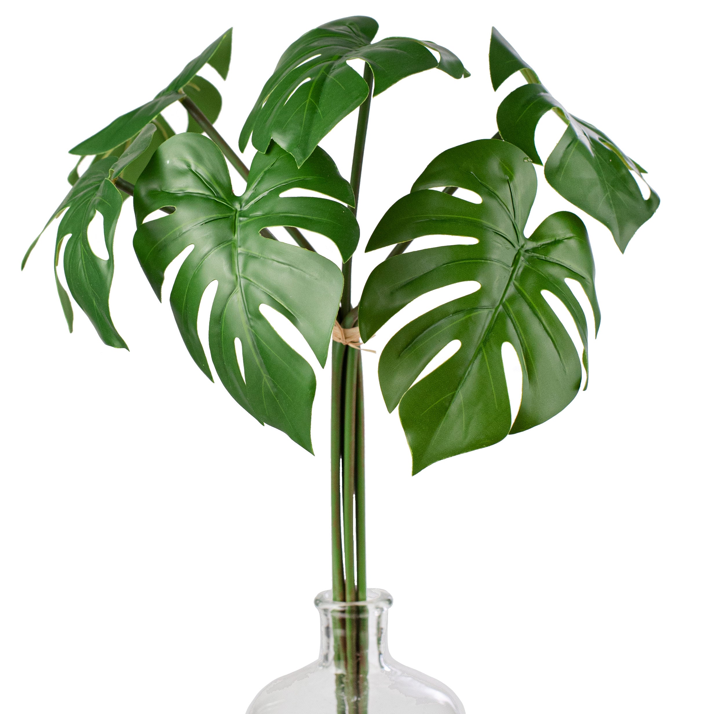 20" Monstera Leaf Bundle Item Number: 2310330DG