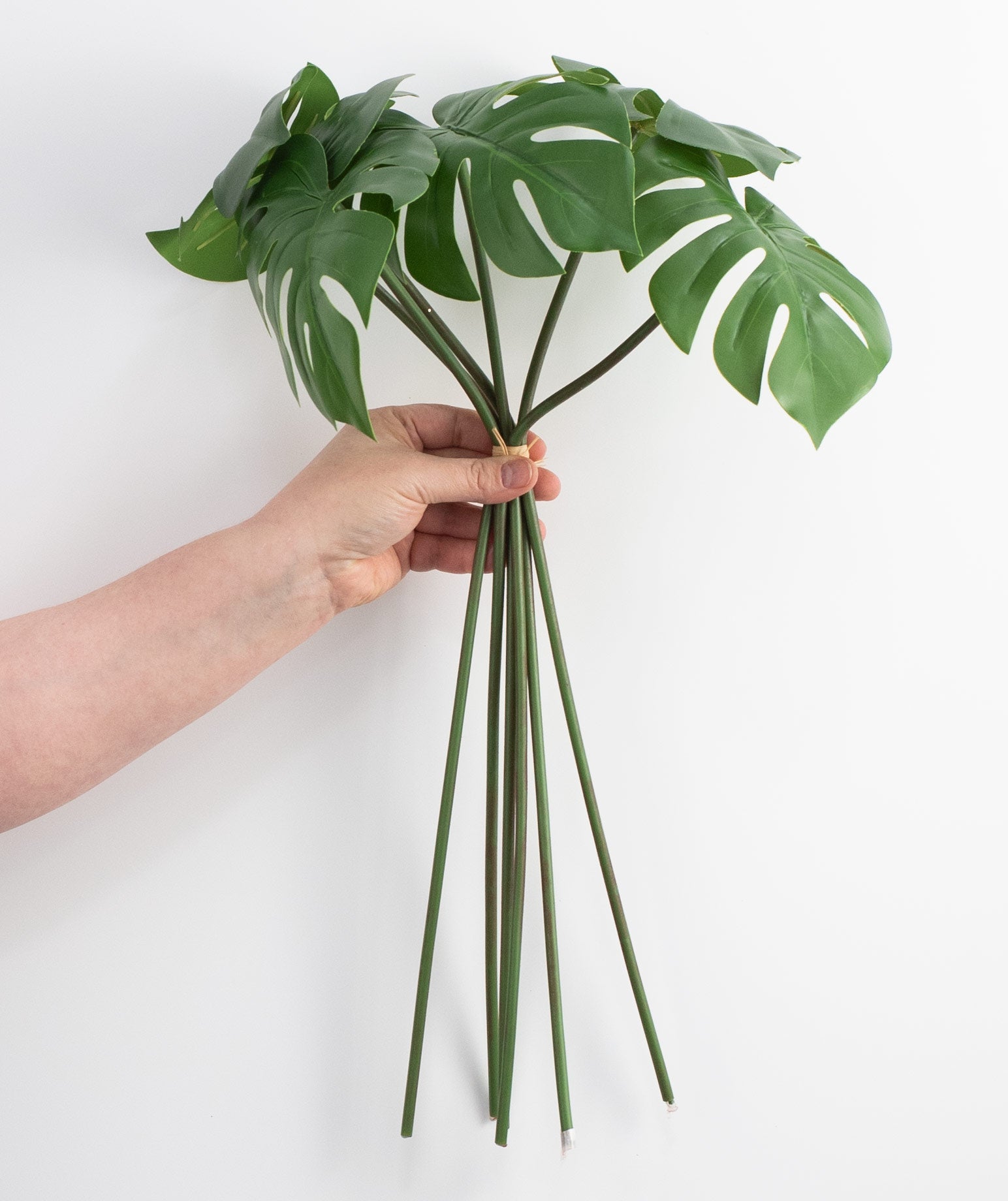 20" Monstera Leaf Bundle detail photo 3