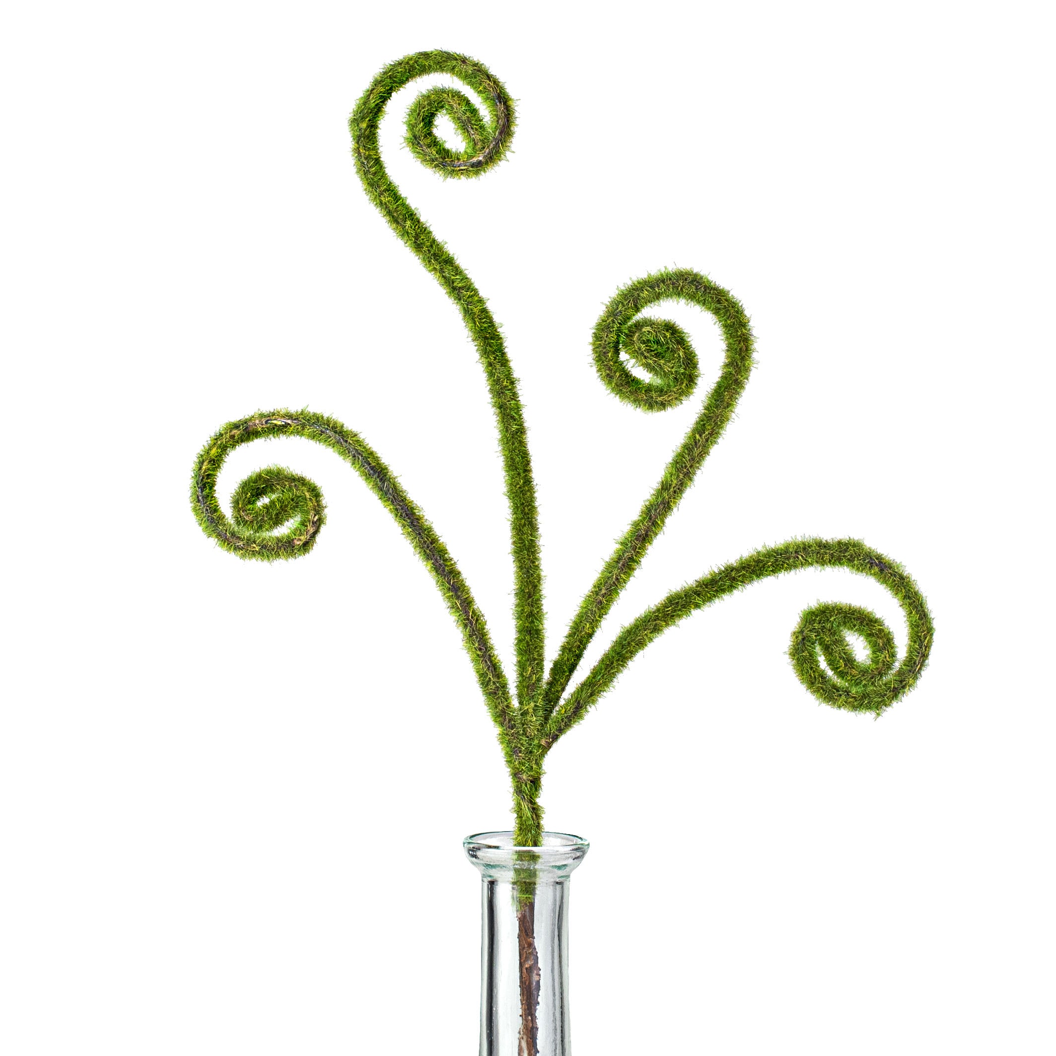 13" Moss Curly Pick Item Number: 29448GN