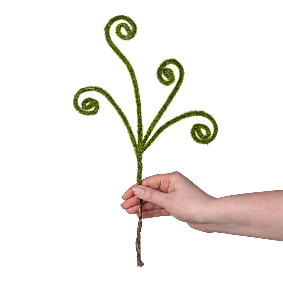 13" Moss Curly Pick detail photo 3