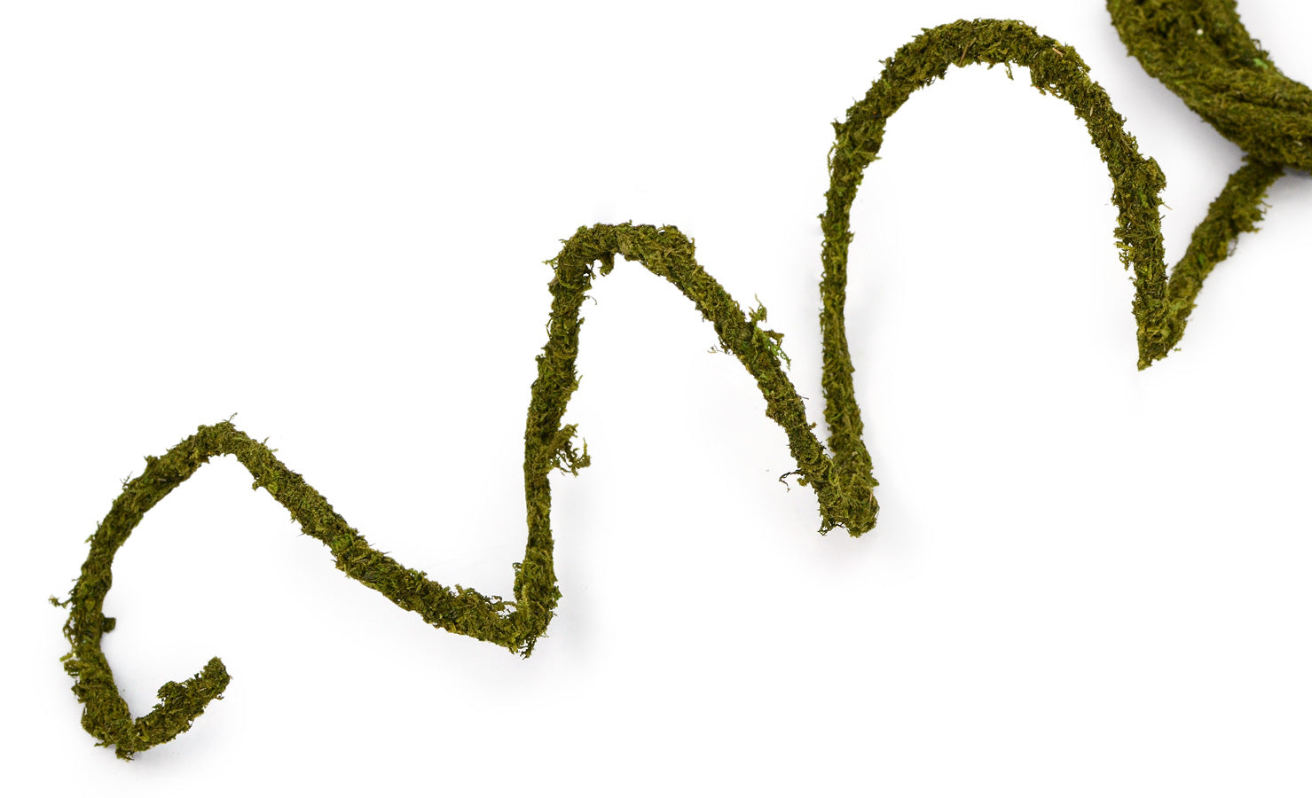 Moss Rope Garland: 25 ft detail photo 4
