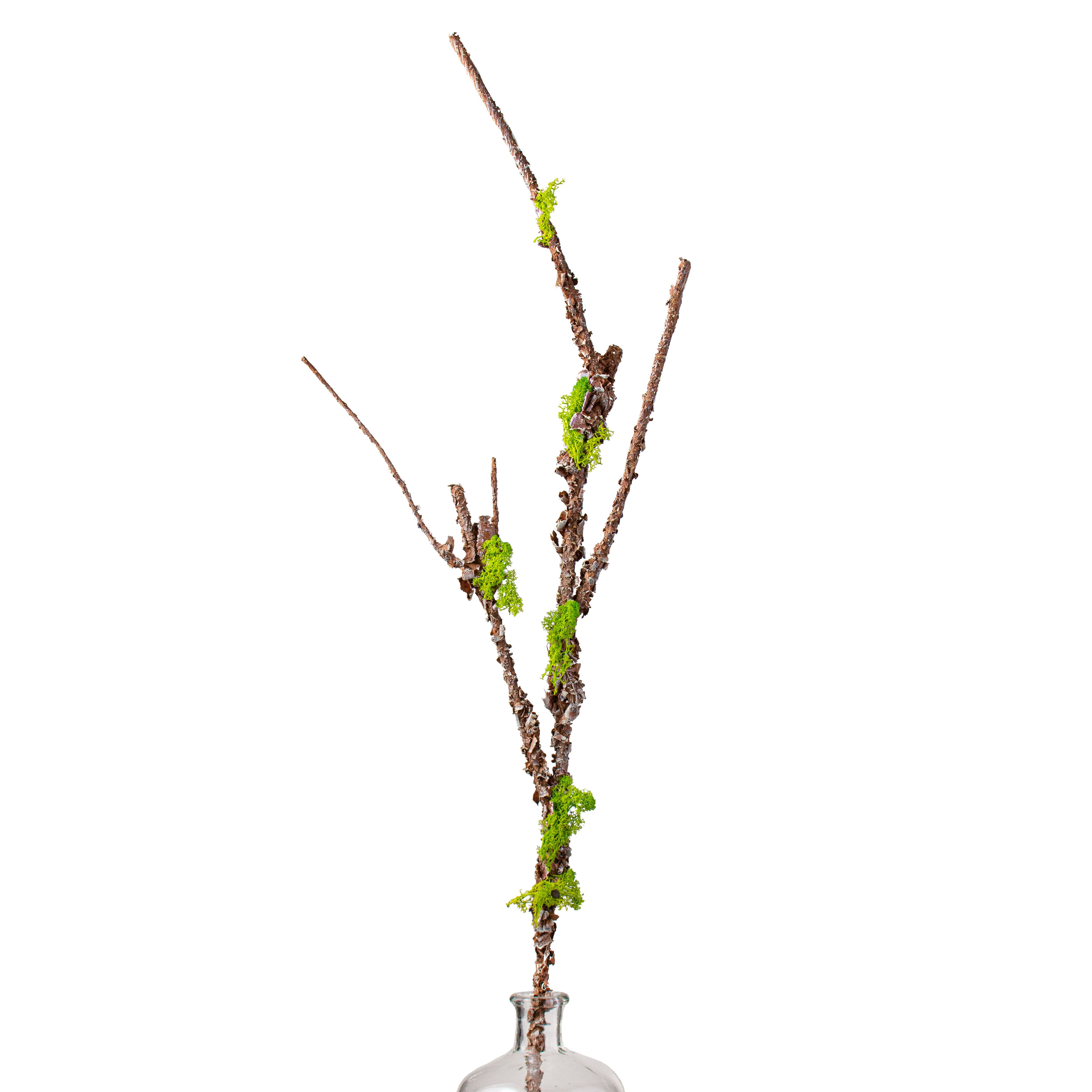 35" Moss Twig Spray Item Number: 148094