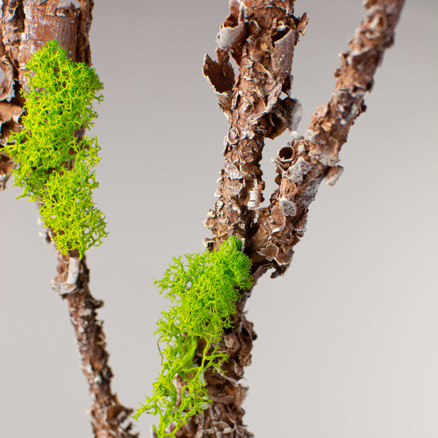35" Moss Twig Spray Lifestyle Photo
