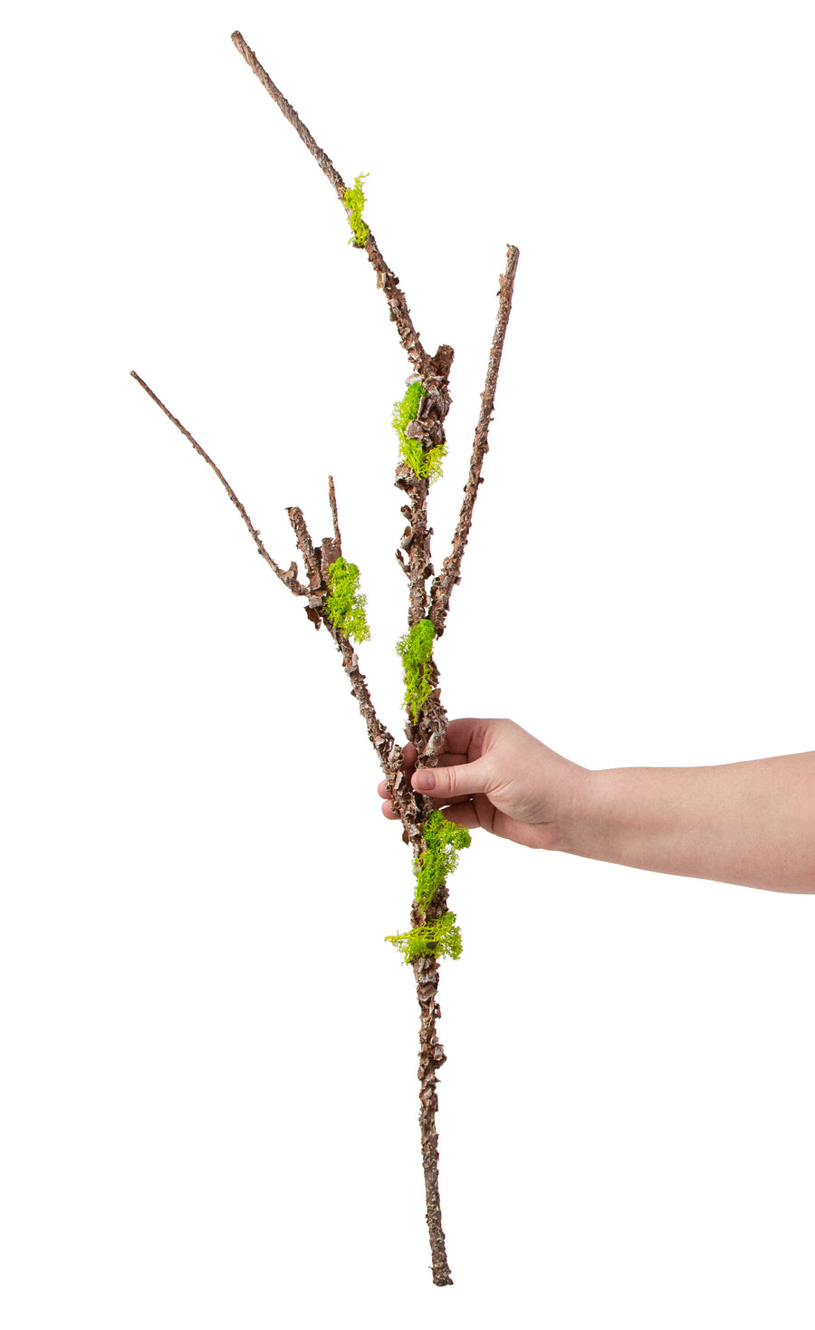 35" Moss Twig Spray detail photo 3