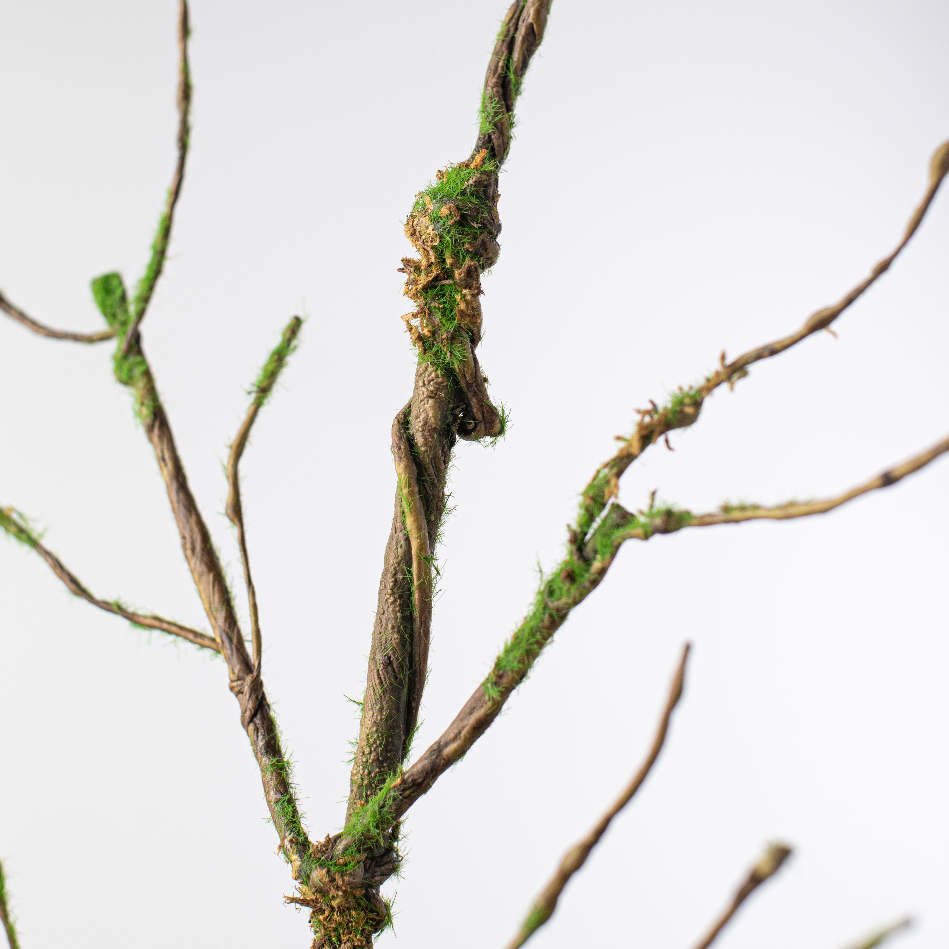 36" Moss Wired Twig Branch Lifestyle Photo