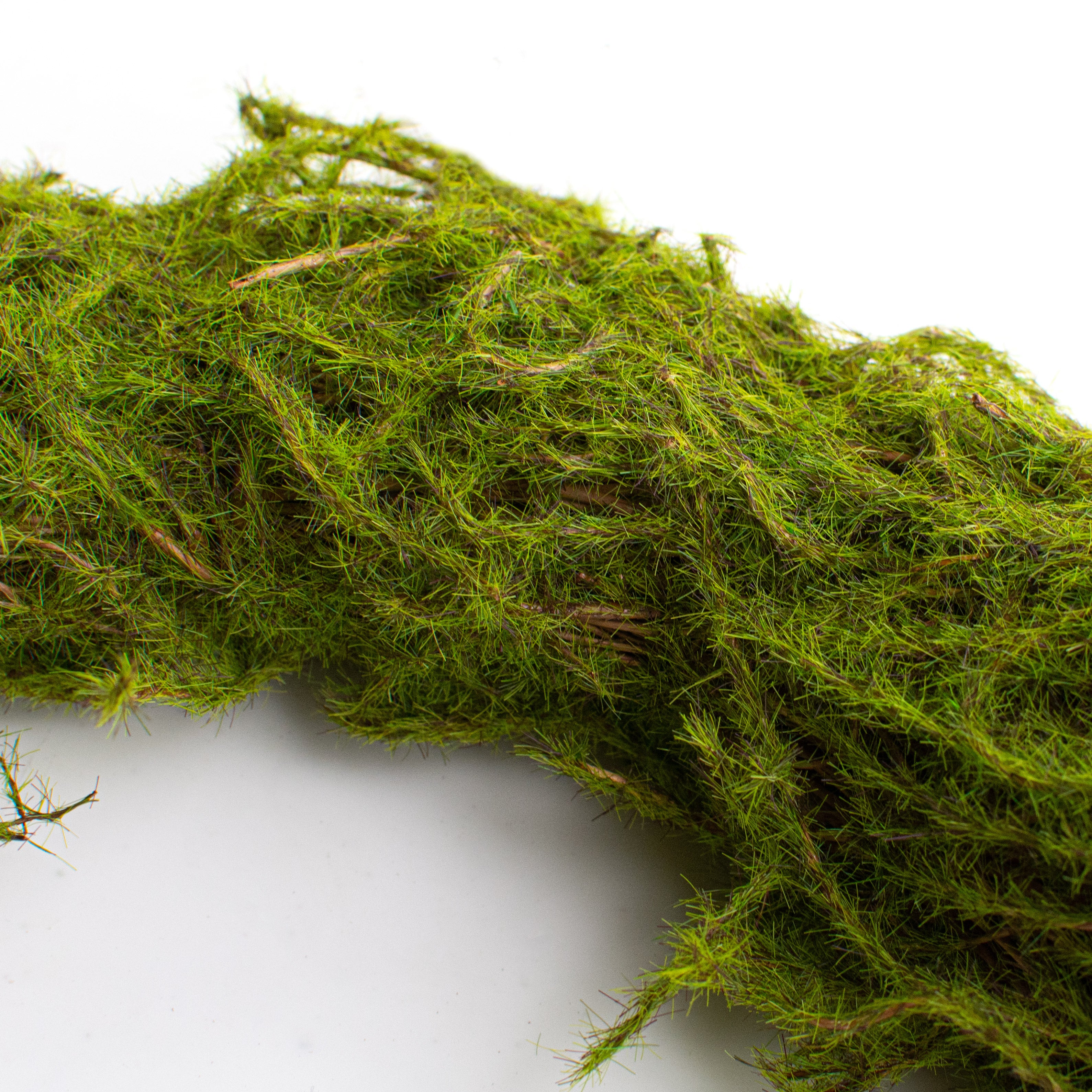 12" Mossy Angel Vine Twig Wreath: Green detail photo 3
