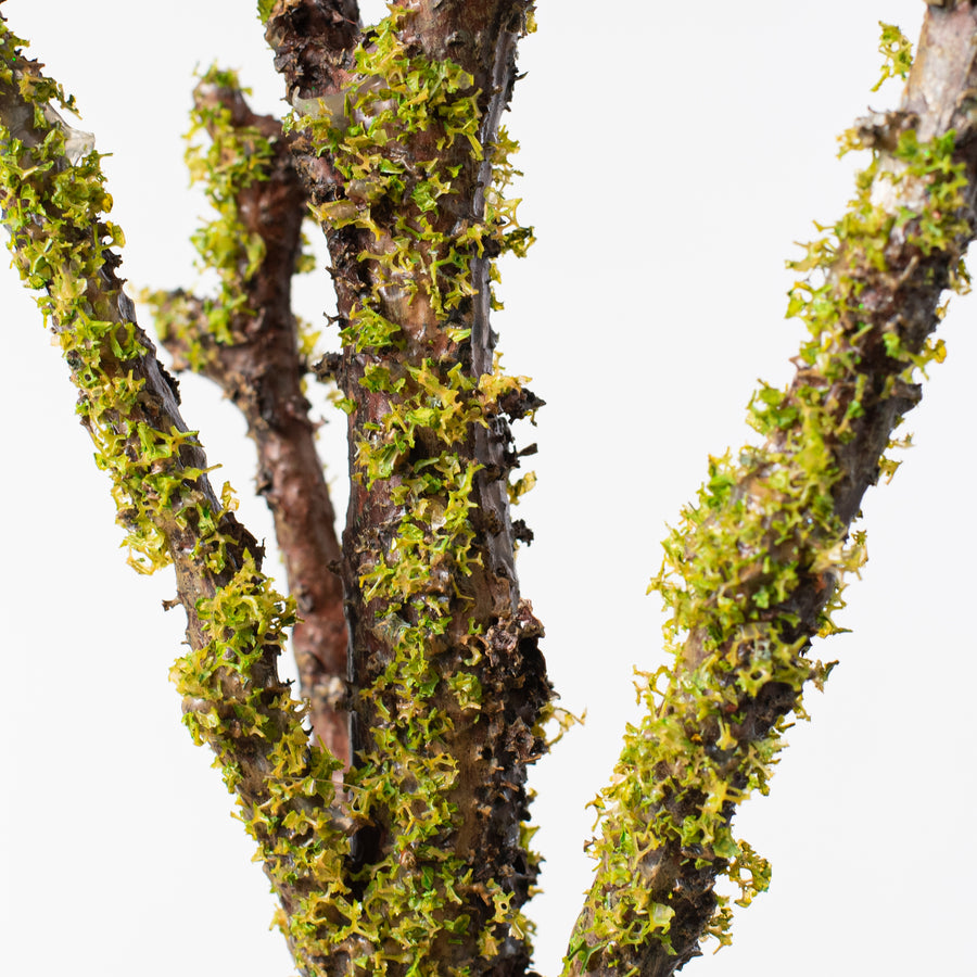 28" Mossy Branch Spray Lifestyle Photo