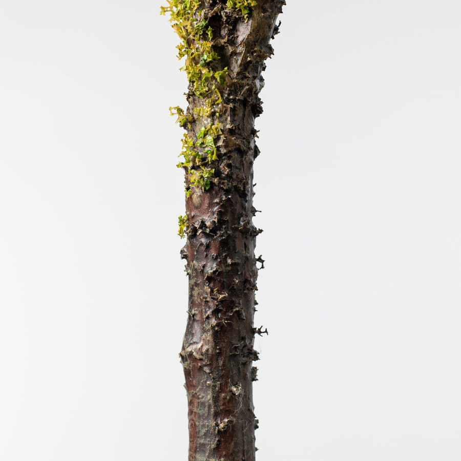 28" Mossy Branch Spray detail photo 5