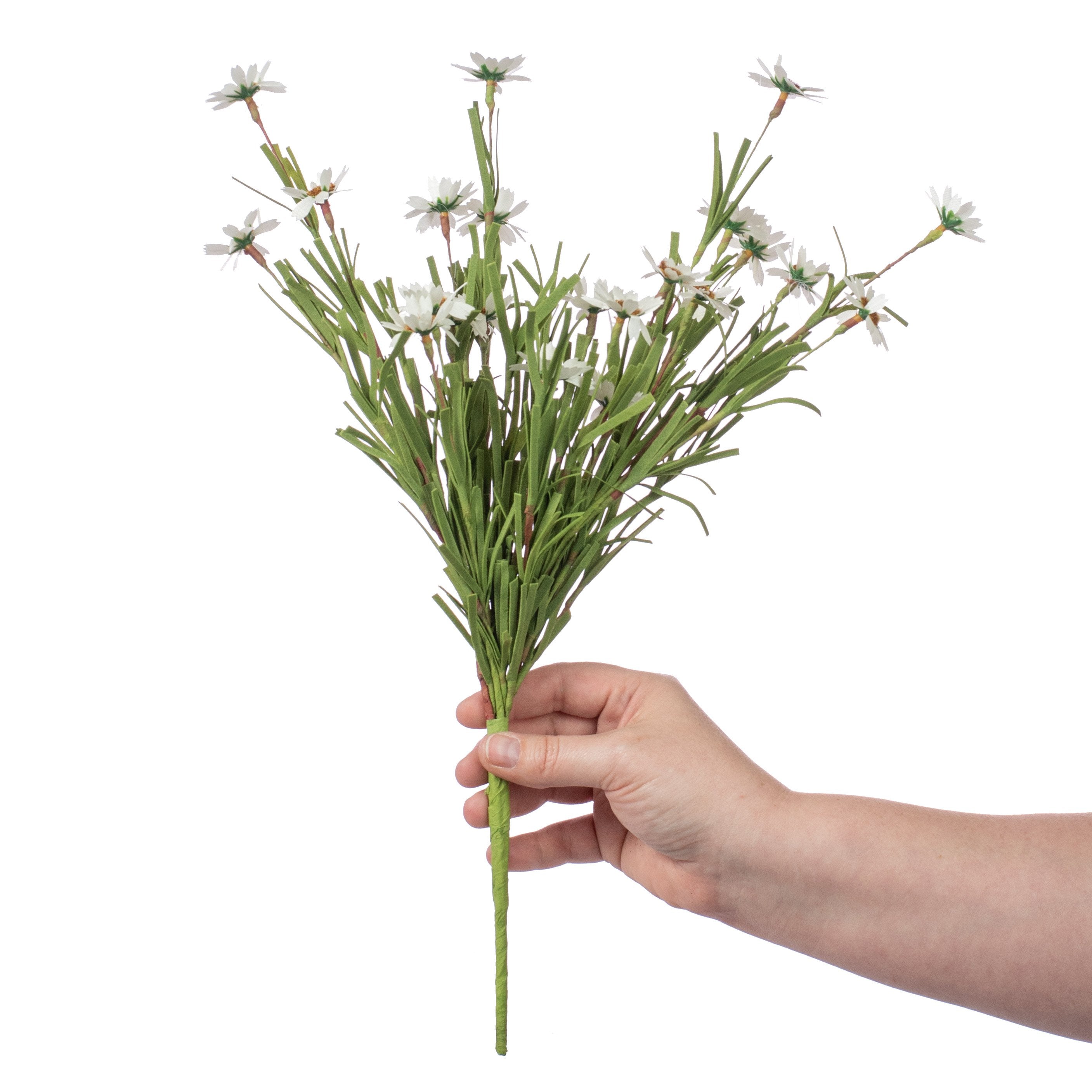16" Mountain Daisy Bush: Cream Lifestyle Photo