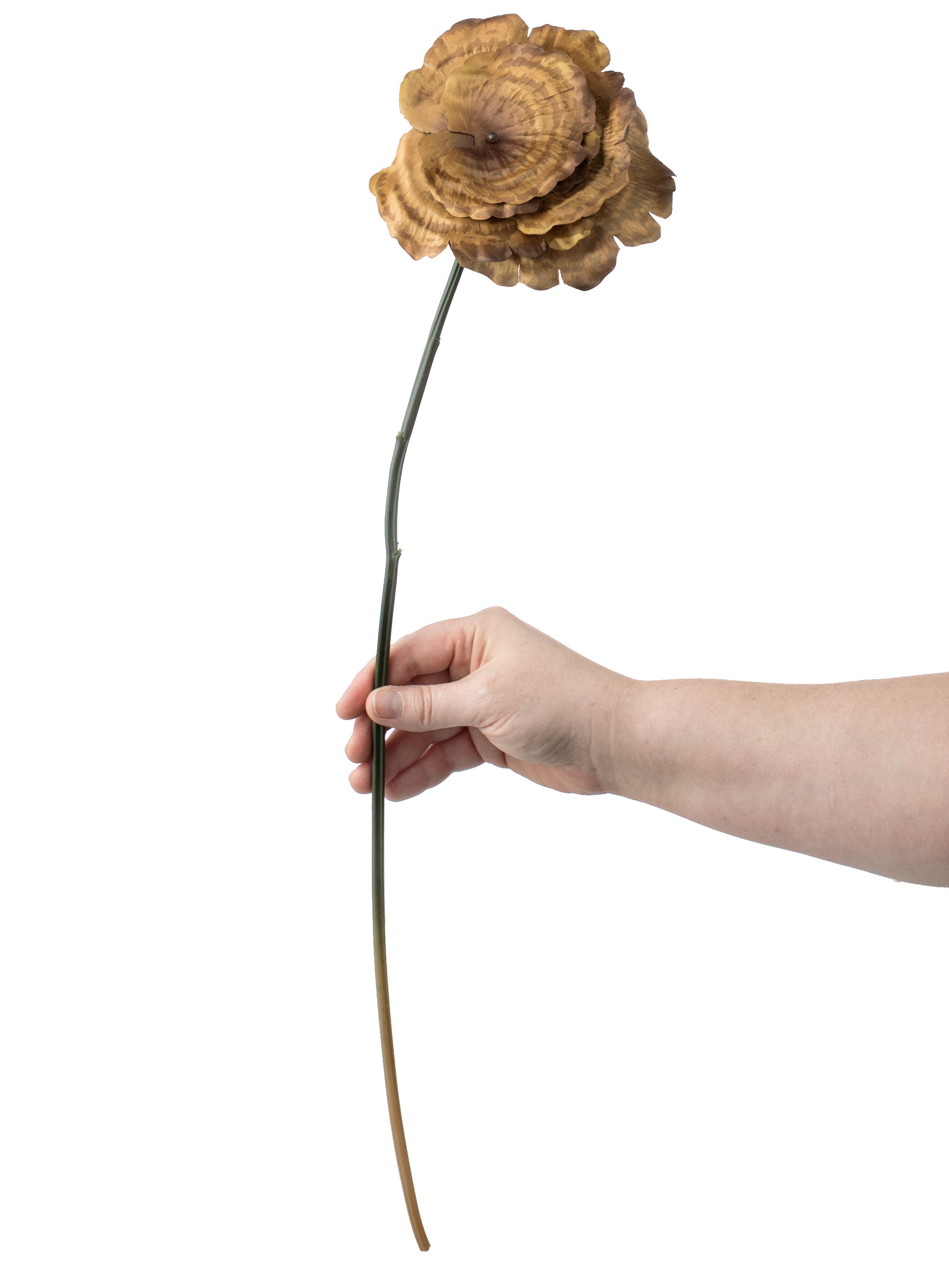 24" Mushroom Bundle detail photo 4