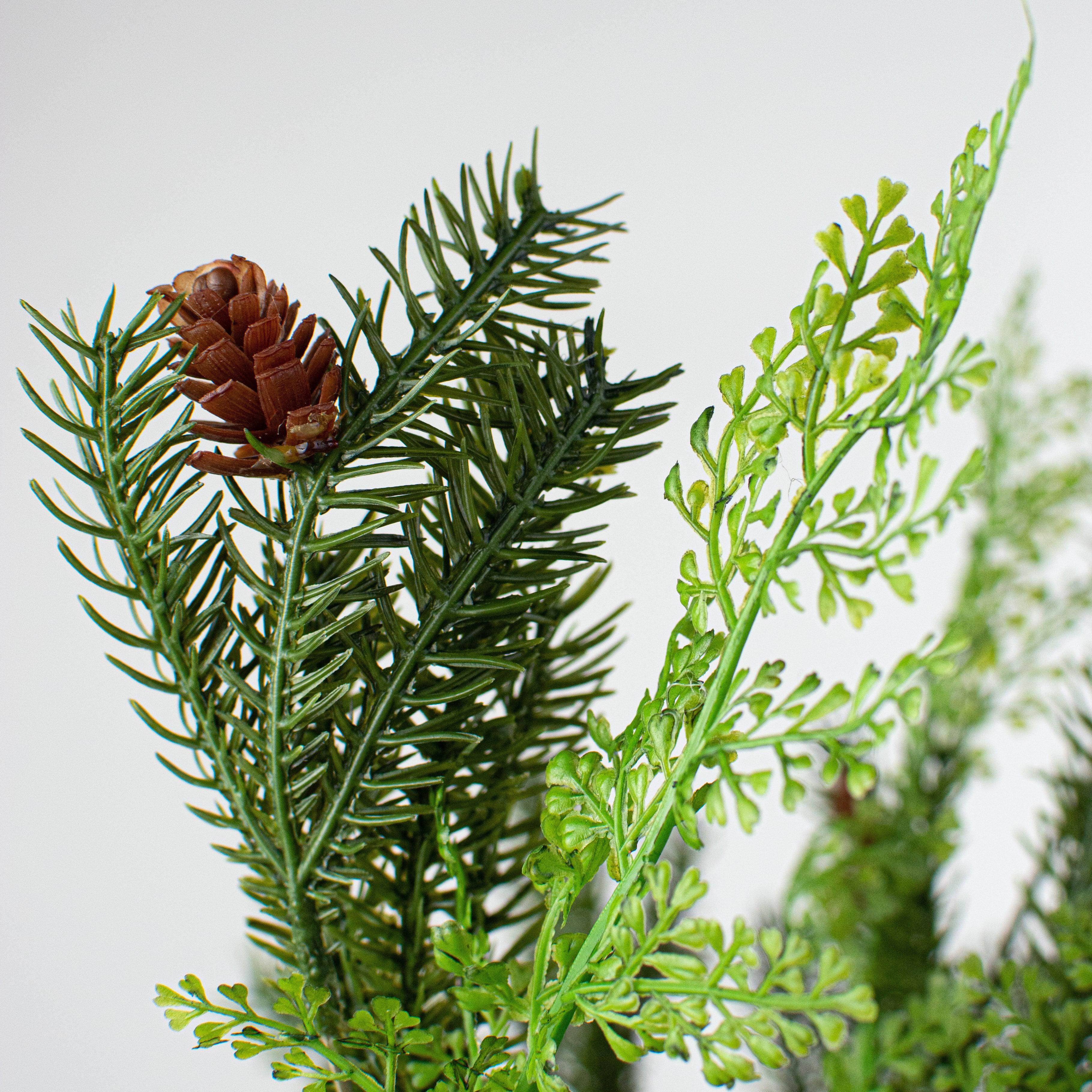 21" Noble Fir Pine Bush Lifestyle Photo