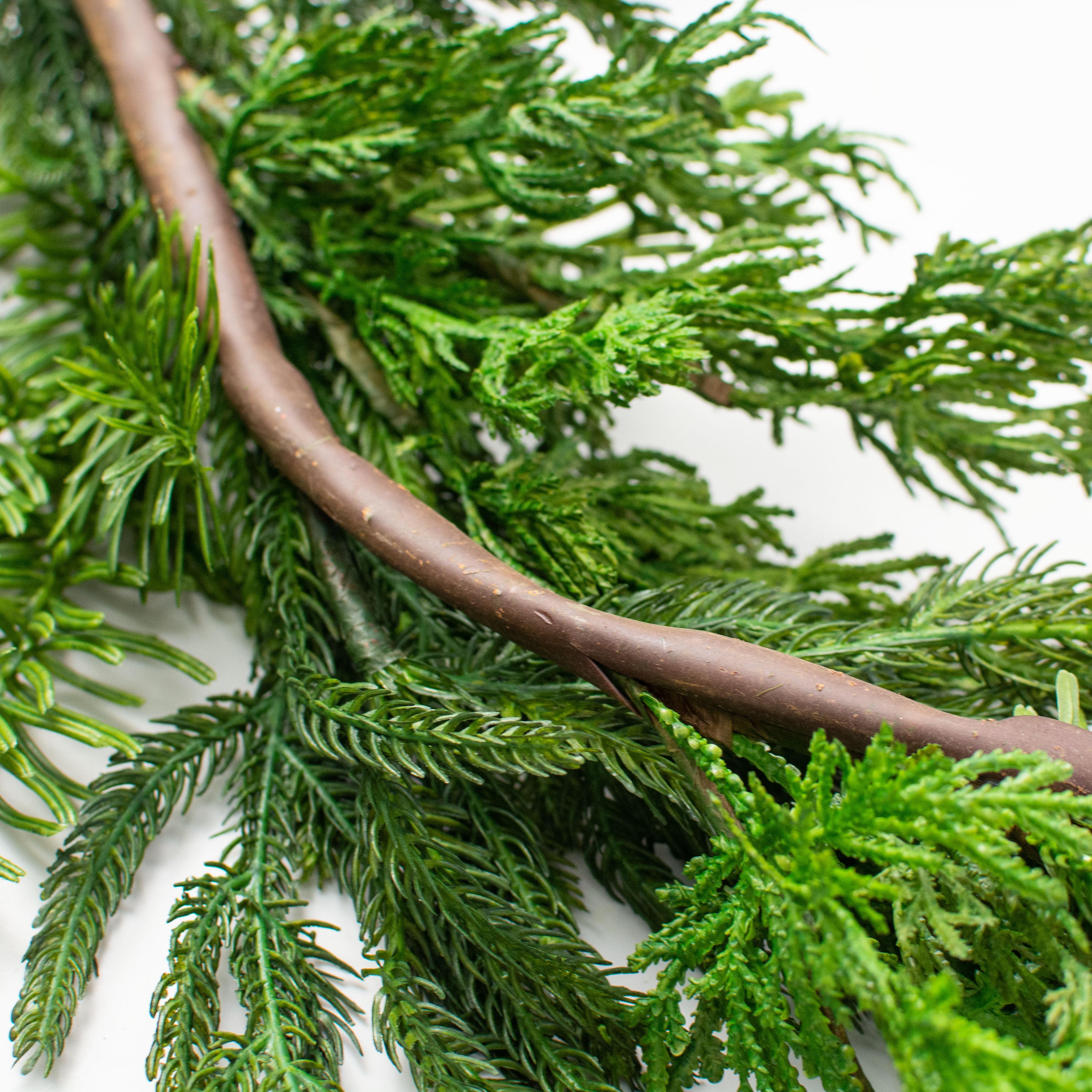 6' Norfolk & Balsam Pine Garland detail photo 5