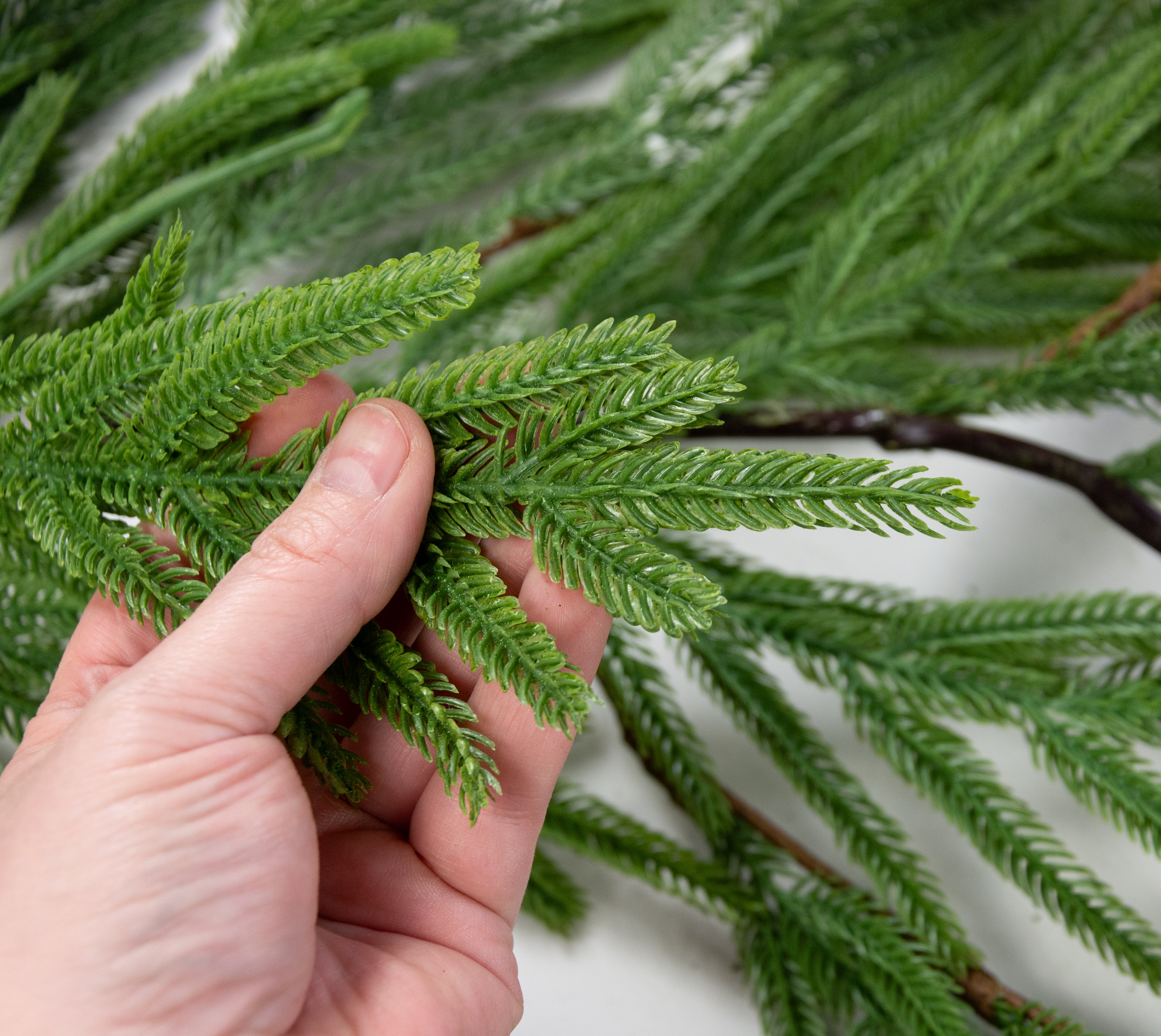 6' Norfolk Island Pine Hanging Garland detail photo 5