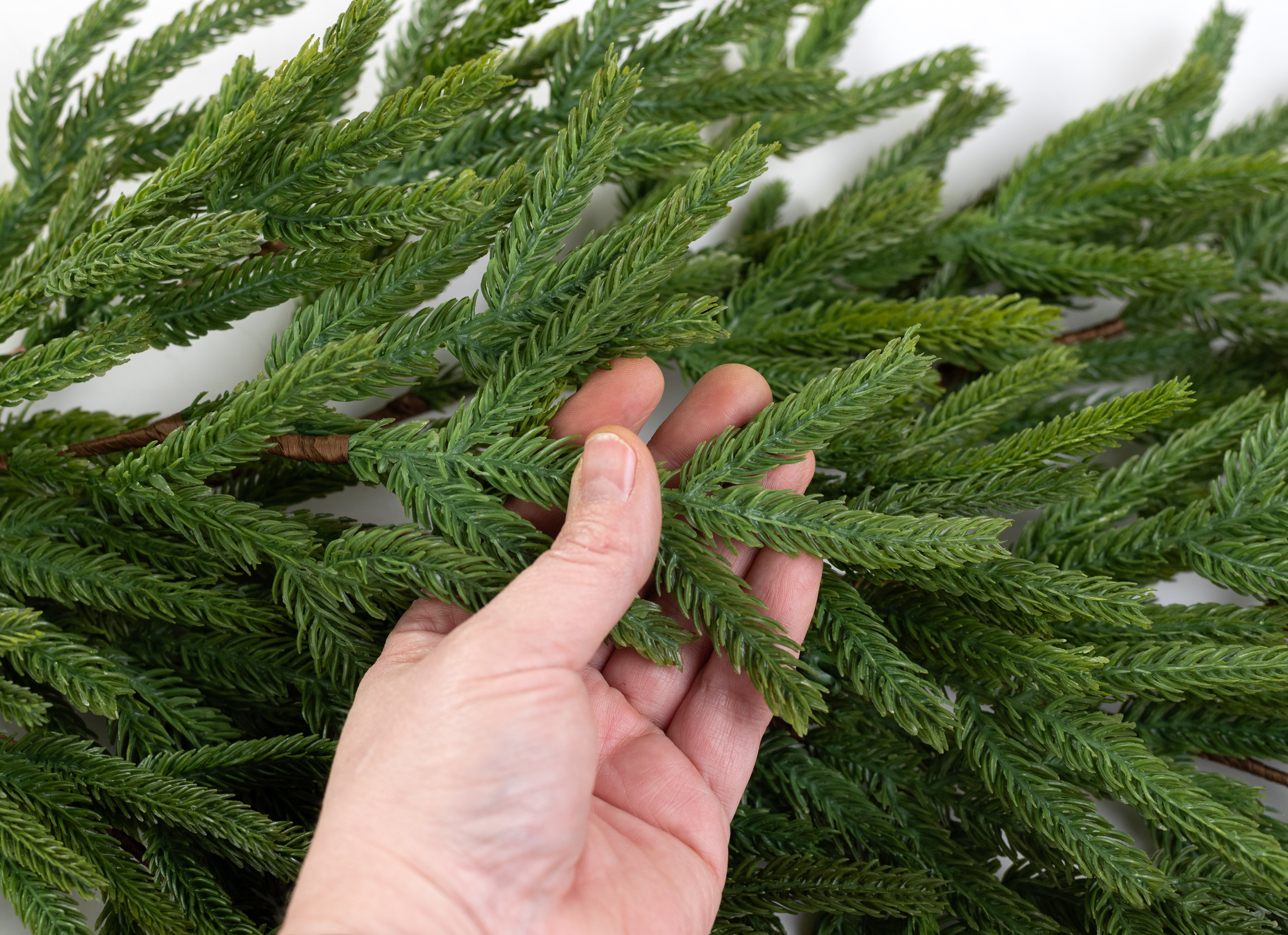 28" Norfolk Island Pine Teardrop detail photo 3