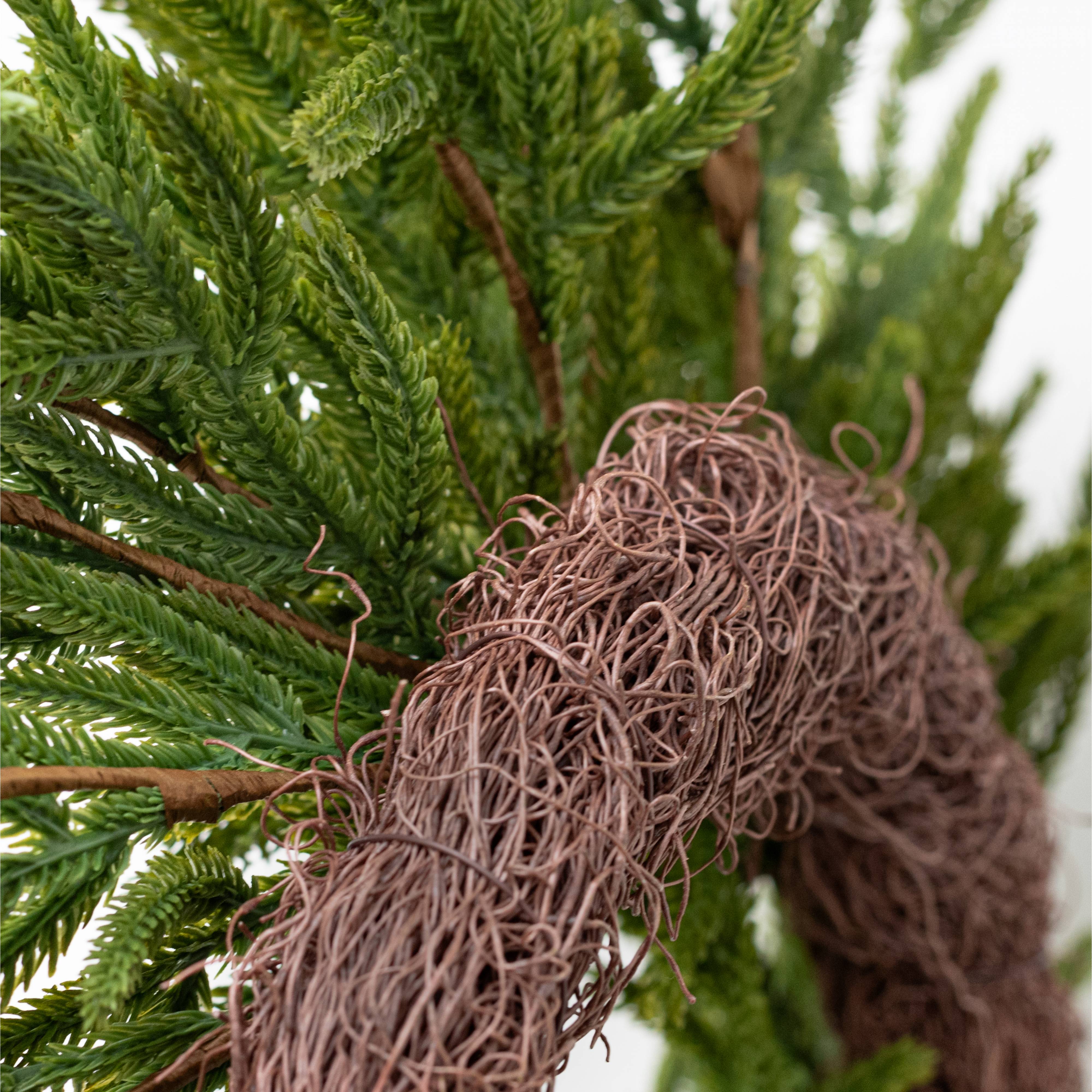 24" Norfolk Island Pine Wreath detail photo 5