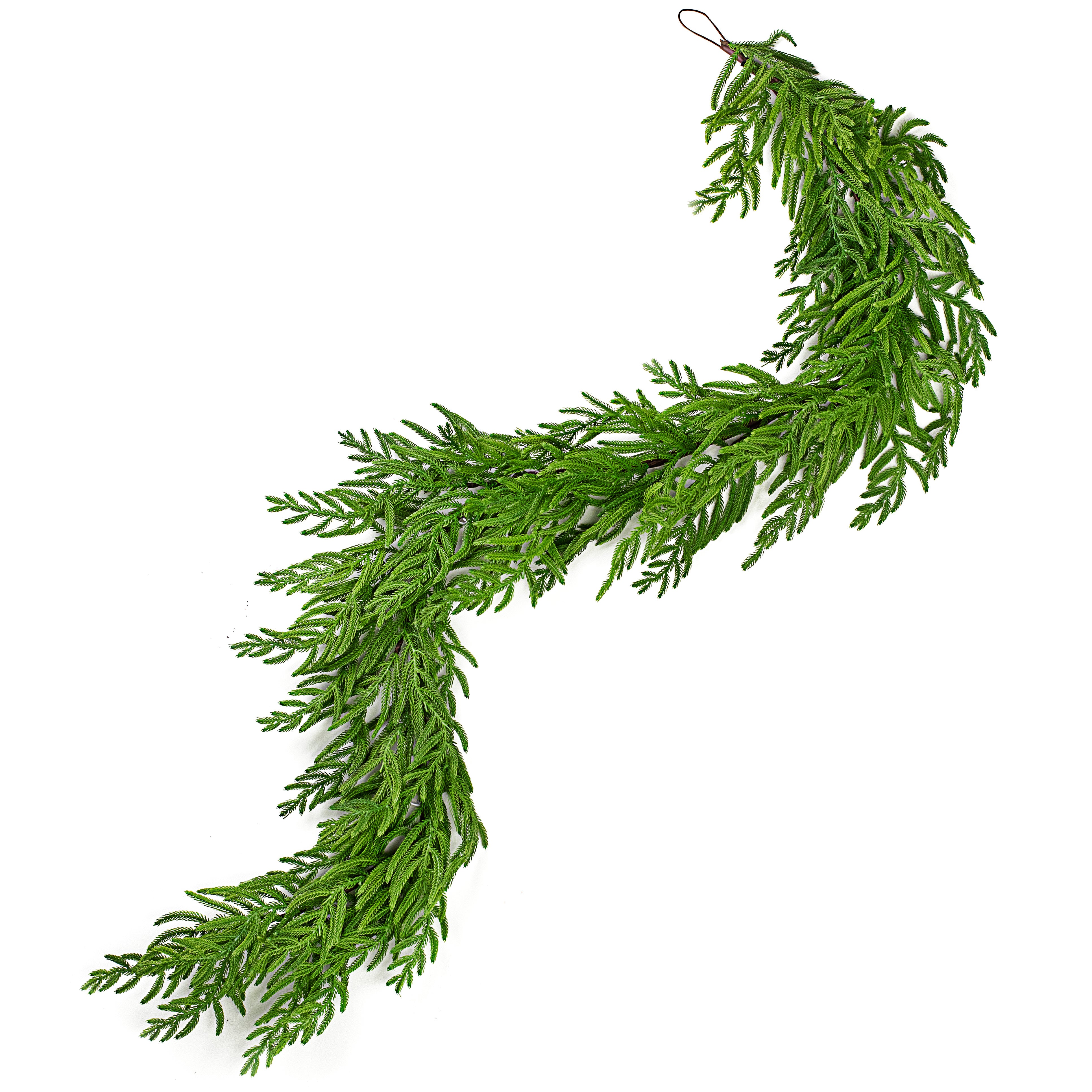 6' Norfolk Pine Garland Item Number: 2844025GR