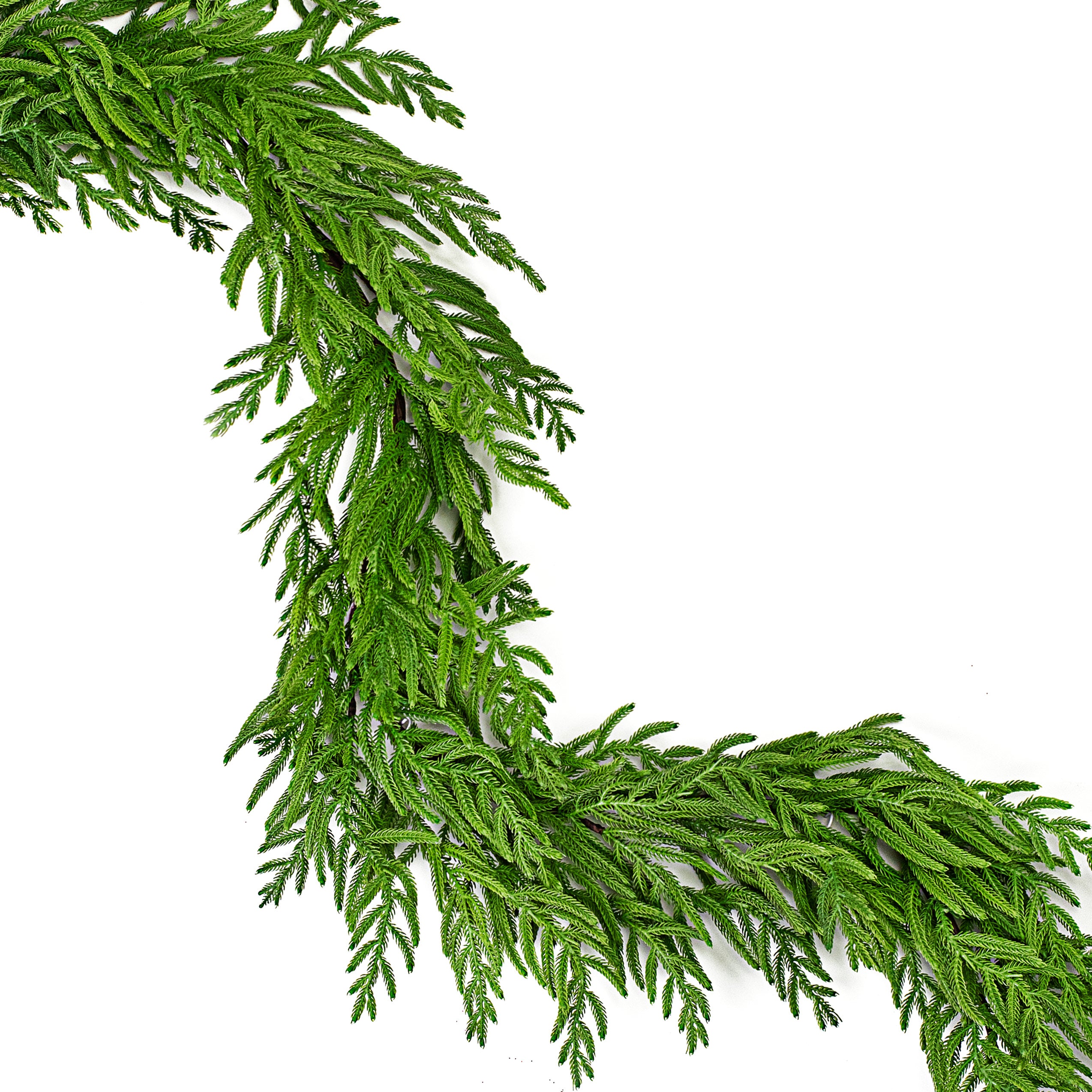 18' Norfolk Pine Garland Item Number: 2844028GR