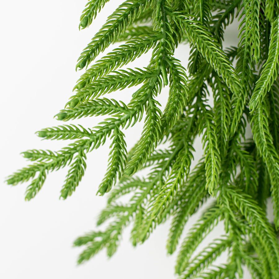 18' Norfolk Pine Garland detail photo 3