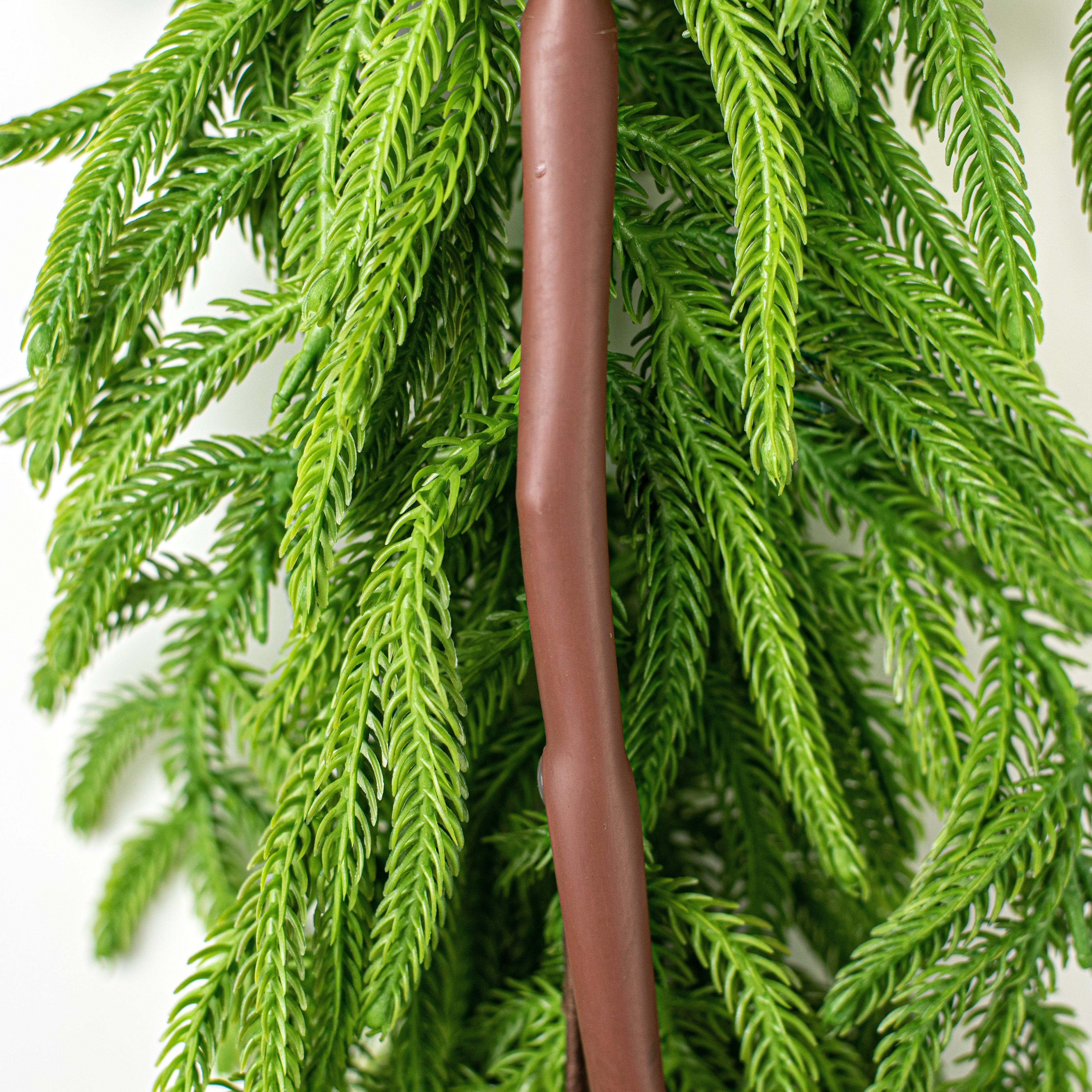 18' Norfolk Pine Garland detail photo 4