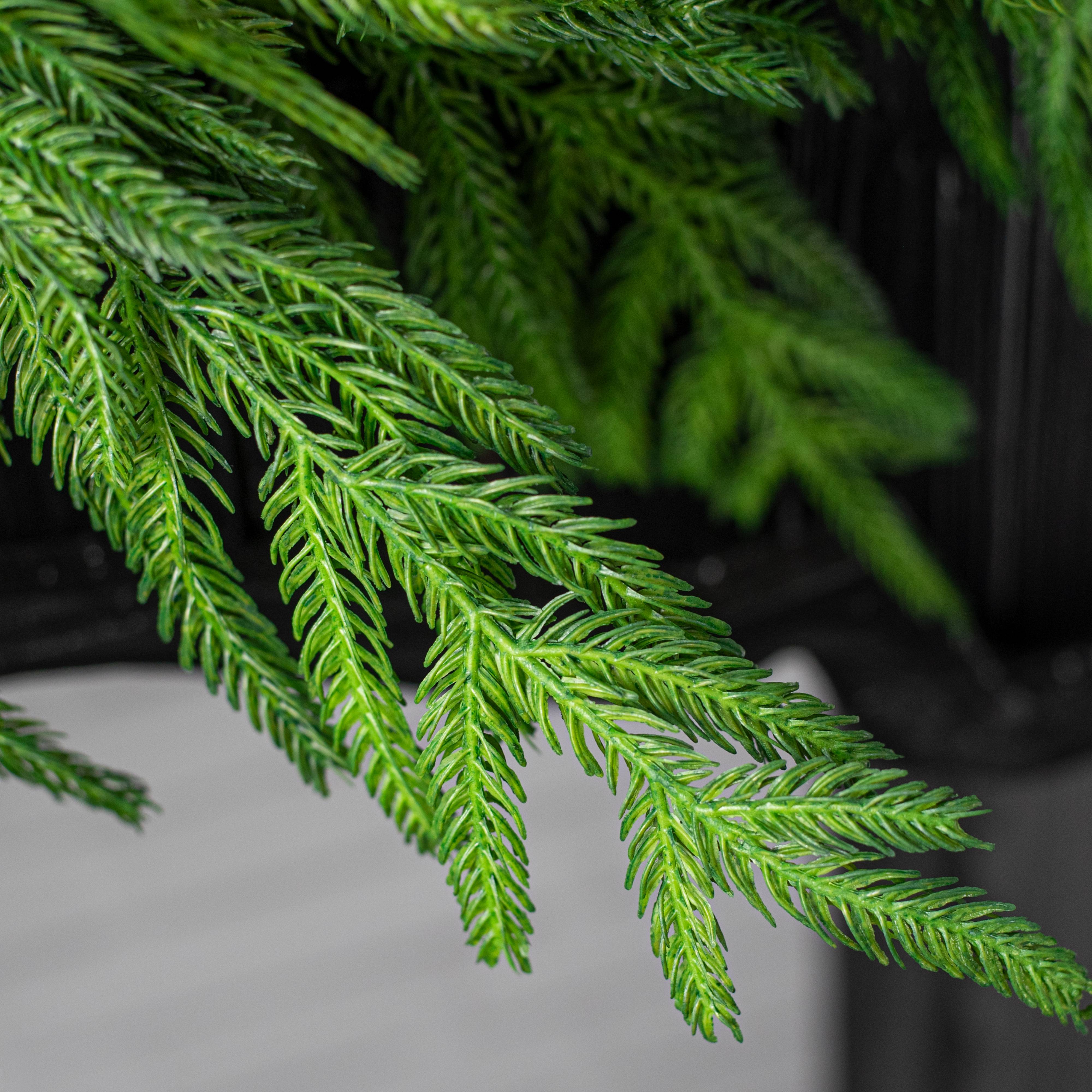 72" Norfolk Pine Garland: Green detail photo 6