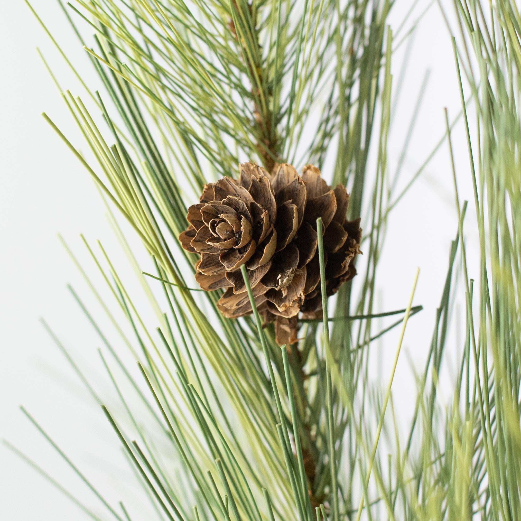 24" Northwoods Pine Spray Lifestyle Photo